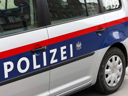 Ein 19-Jähriger hantierte im Wiener Stadtpark mit einer Softgun.