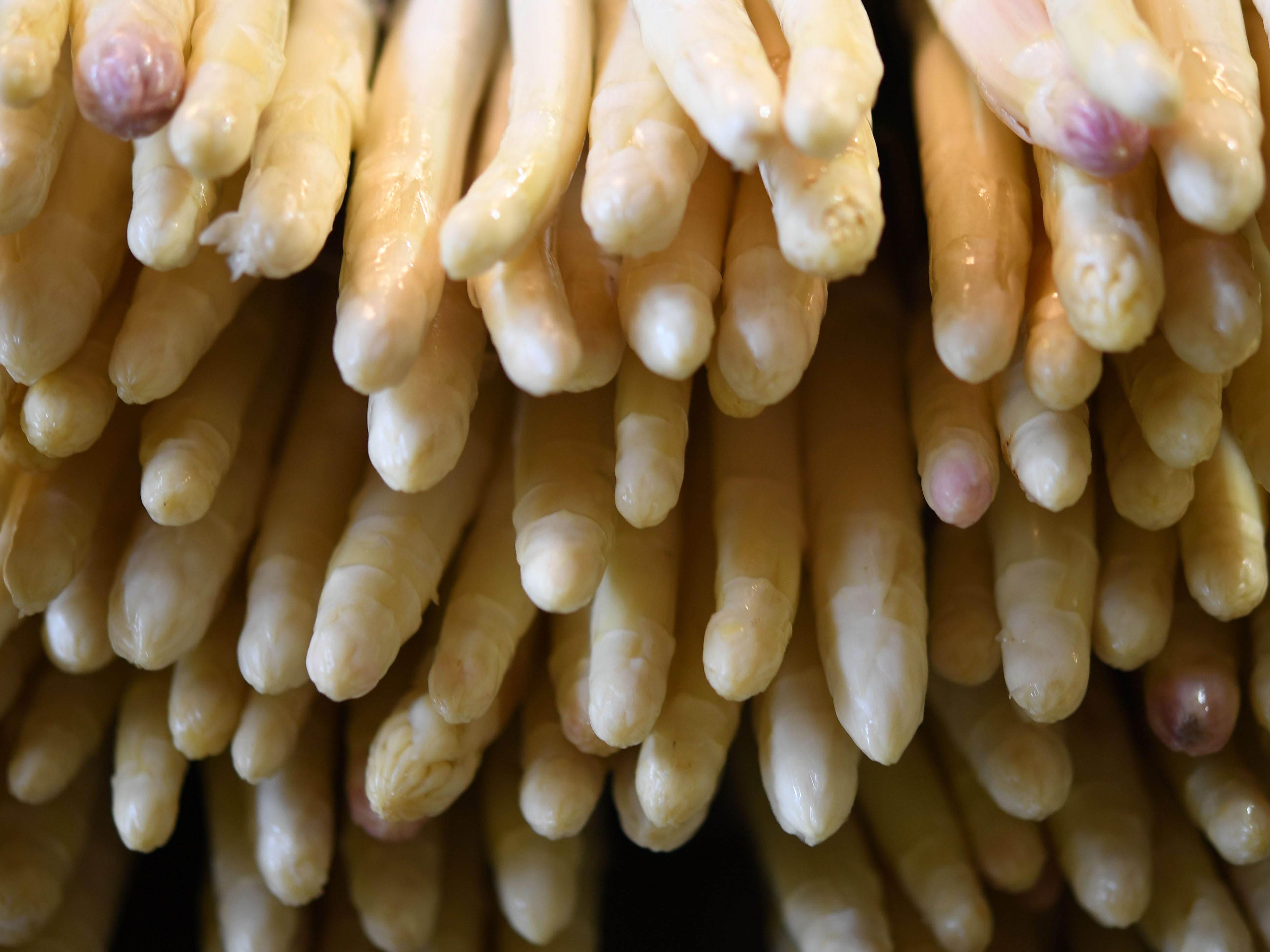 Spargel