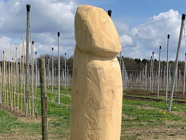 Darf vorerst stehen bleiben - Nicht die erste Phallusskulptur in der Region