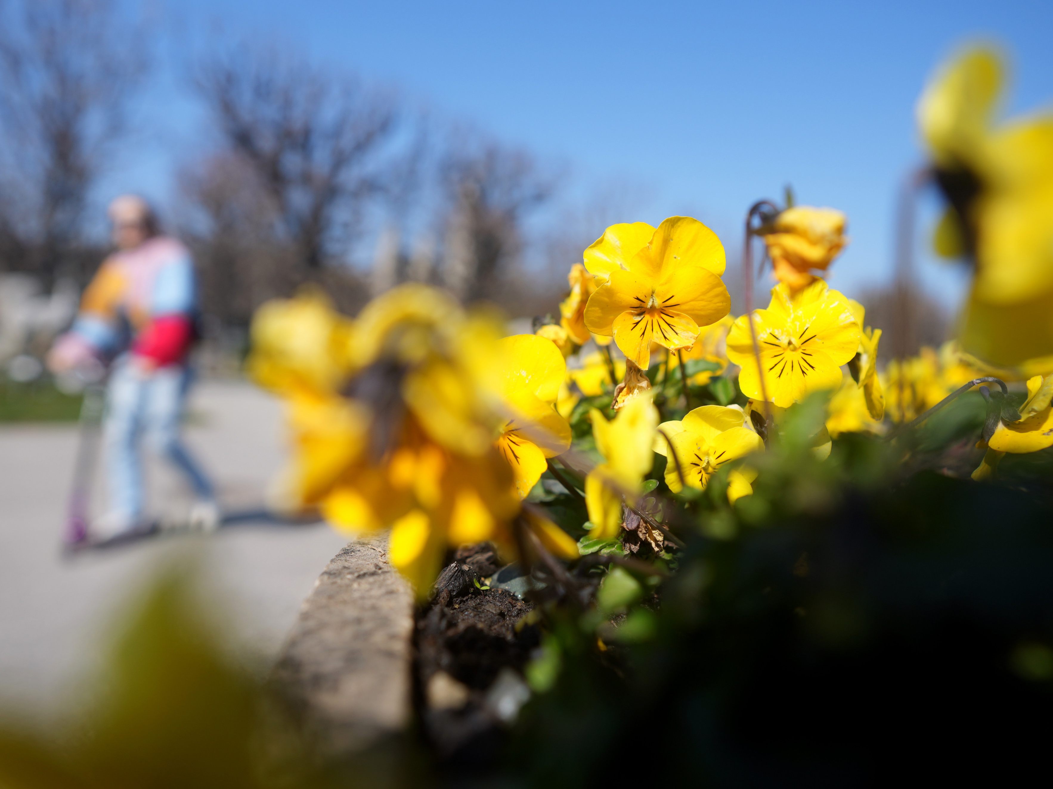 Der Frühling 2021 war der kühlste in den vergangenen 25 Jahren. Der Frühling 2021 war der kühlste in den vergangenen 25 Jahren.