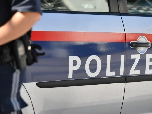 Bei dem Unfall in Niederösterreich wurde ein 53-Jähriger getötet.