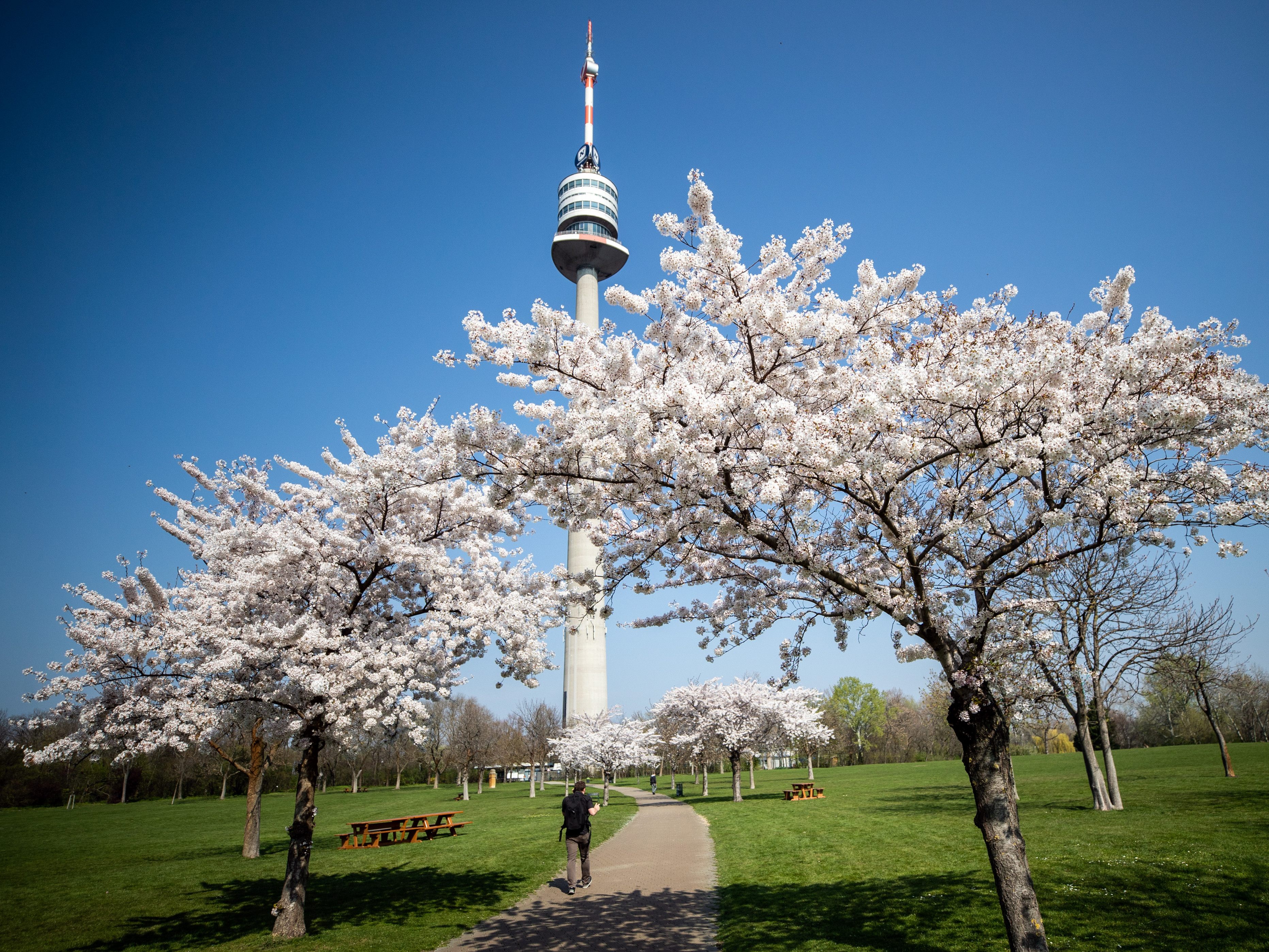 Der Frühling war heuer eher kühl.