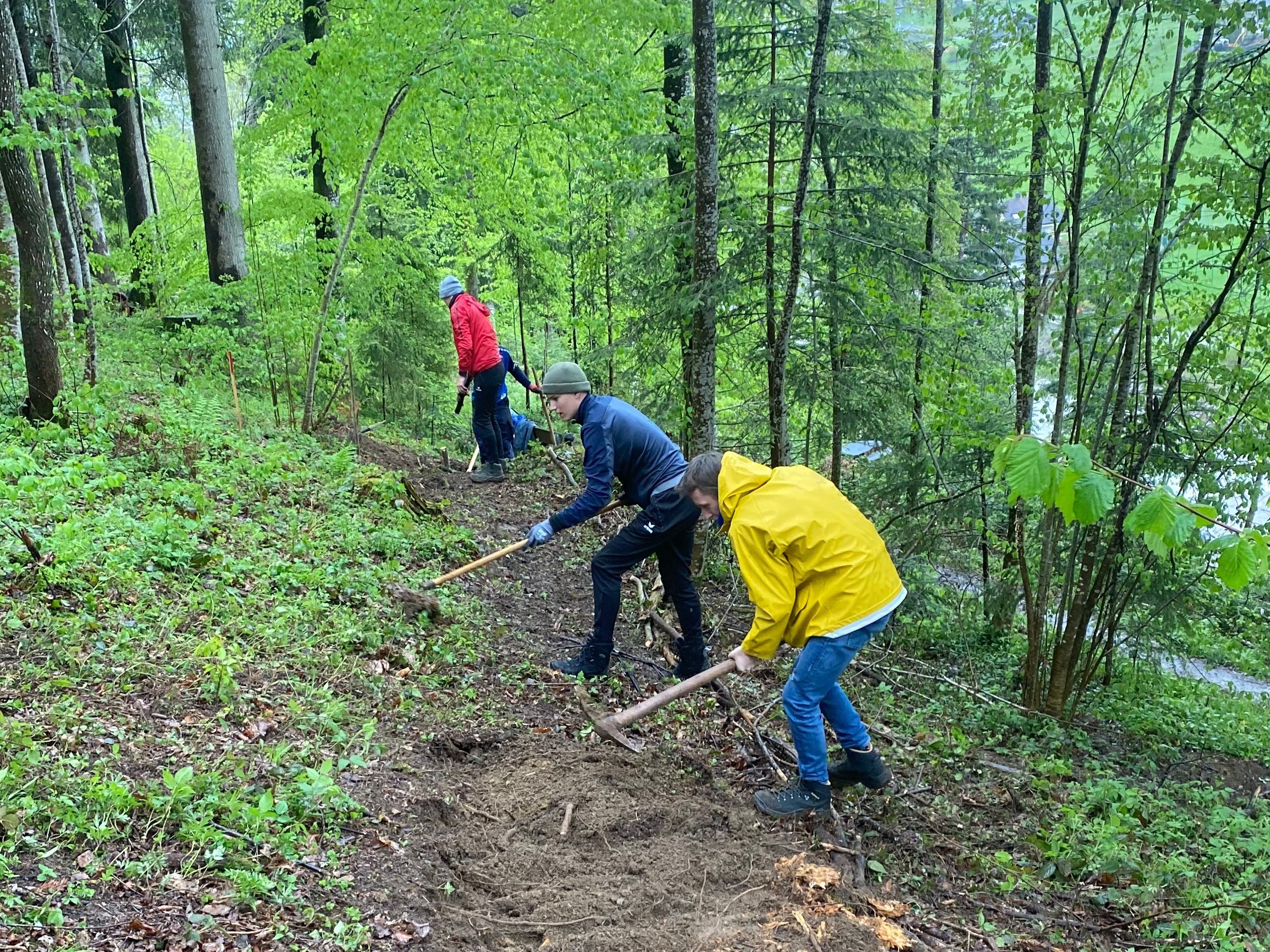 Auch ein schmaler Fußweg zum Lernort Klimawald wurde von den Gymnasiasten angelegt. Auch ein schmaler Fußweg zum Lernort Klimawald wurde von den Gymnasiasten angelegt.