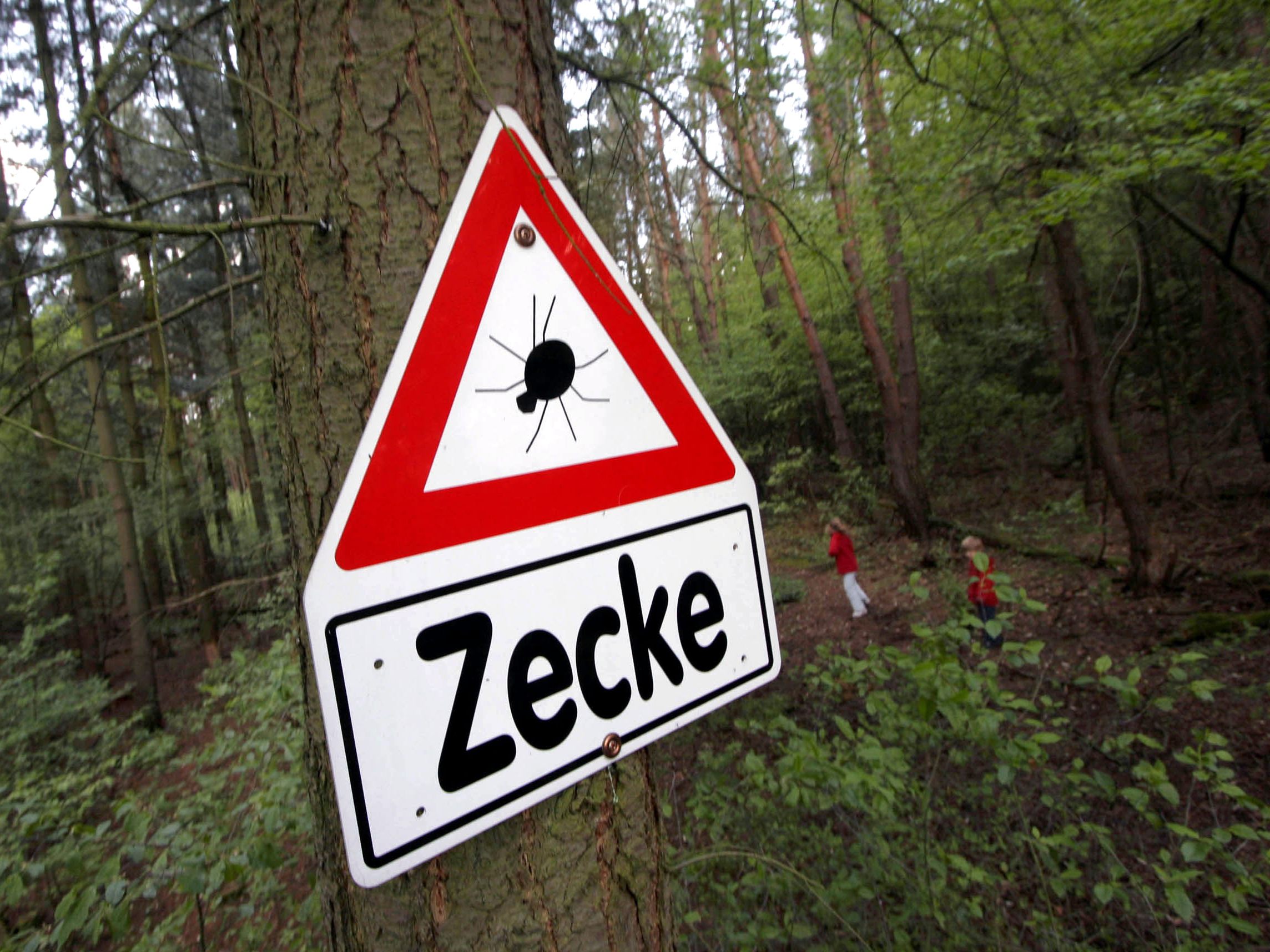 Der Sommer ist Zeckenzeit.