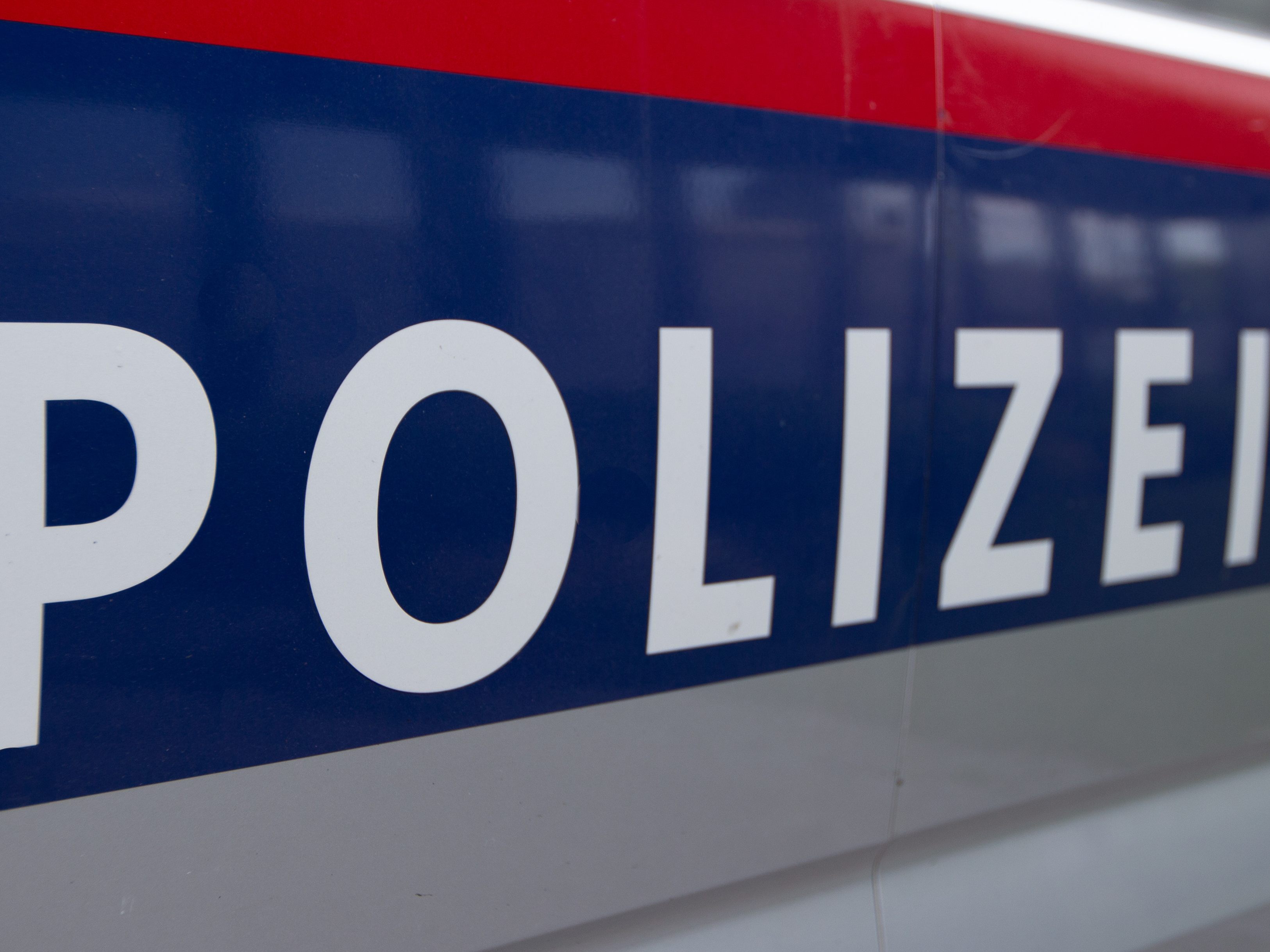 Die Polizei wurde aktiv. Die Polizei wurde aktiv.