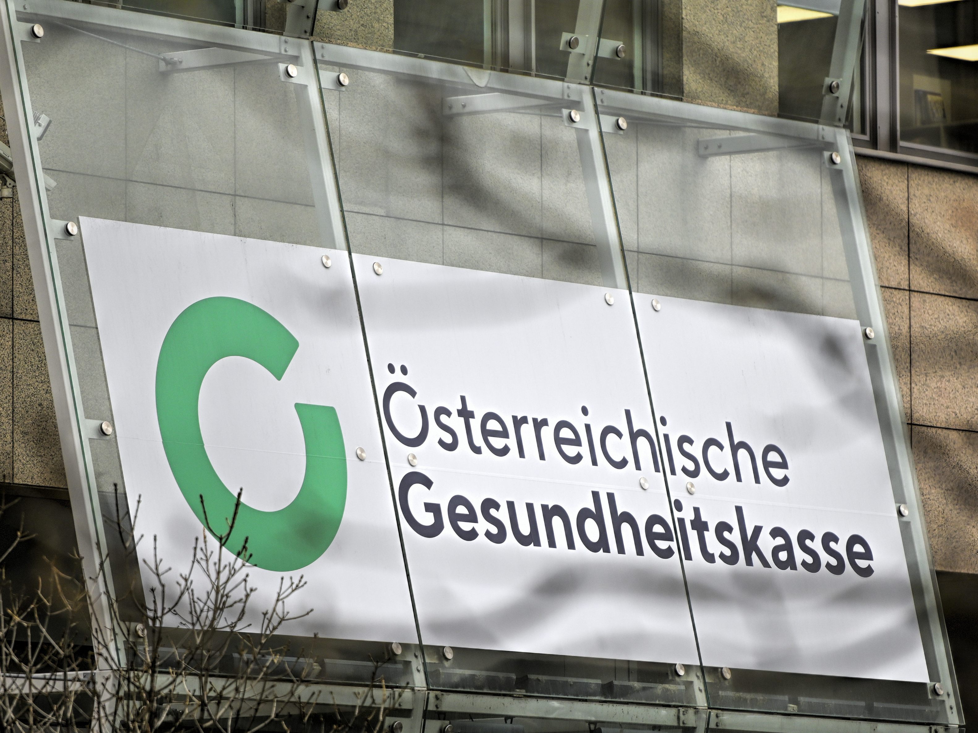 Der ÖGK-Generaldirektor hat sich zu verschiedenen Punkten geäußert.