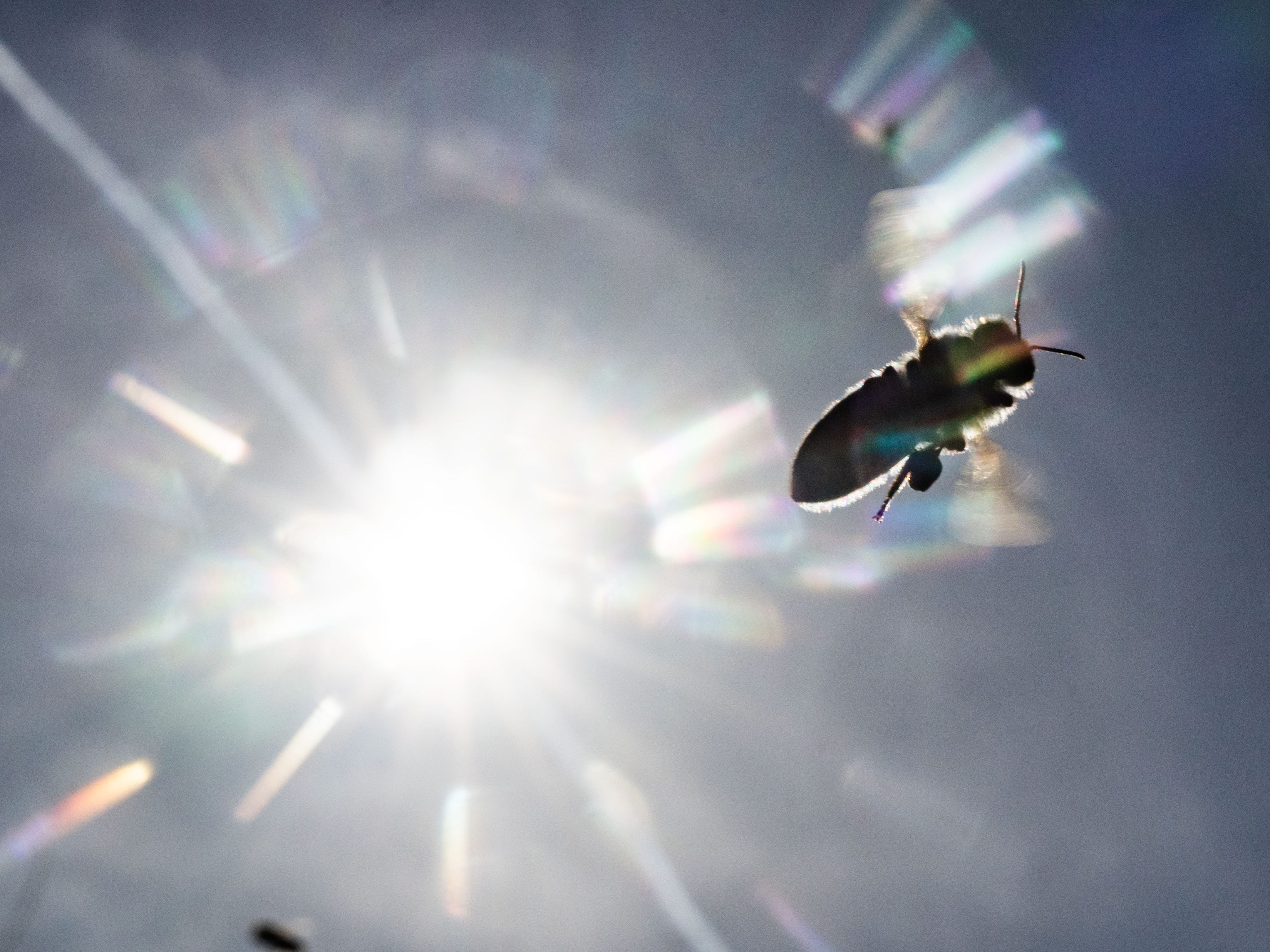 Temperatur-Nachrichten gibt es aus Bad Gleichenberg.