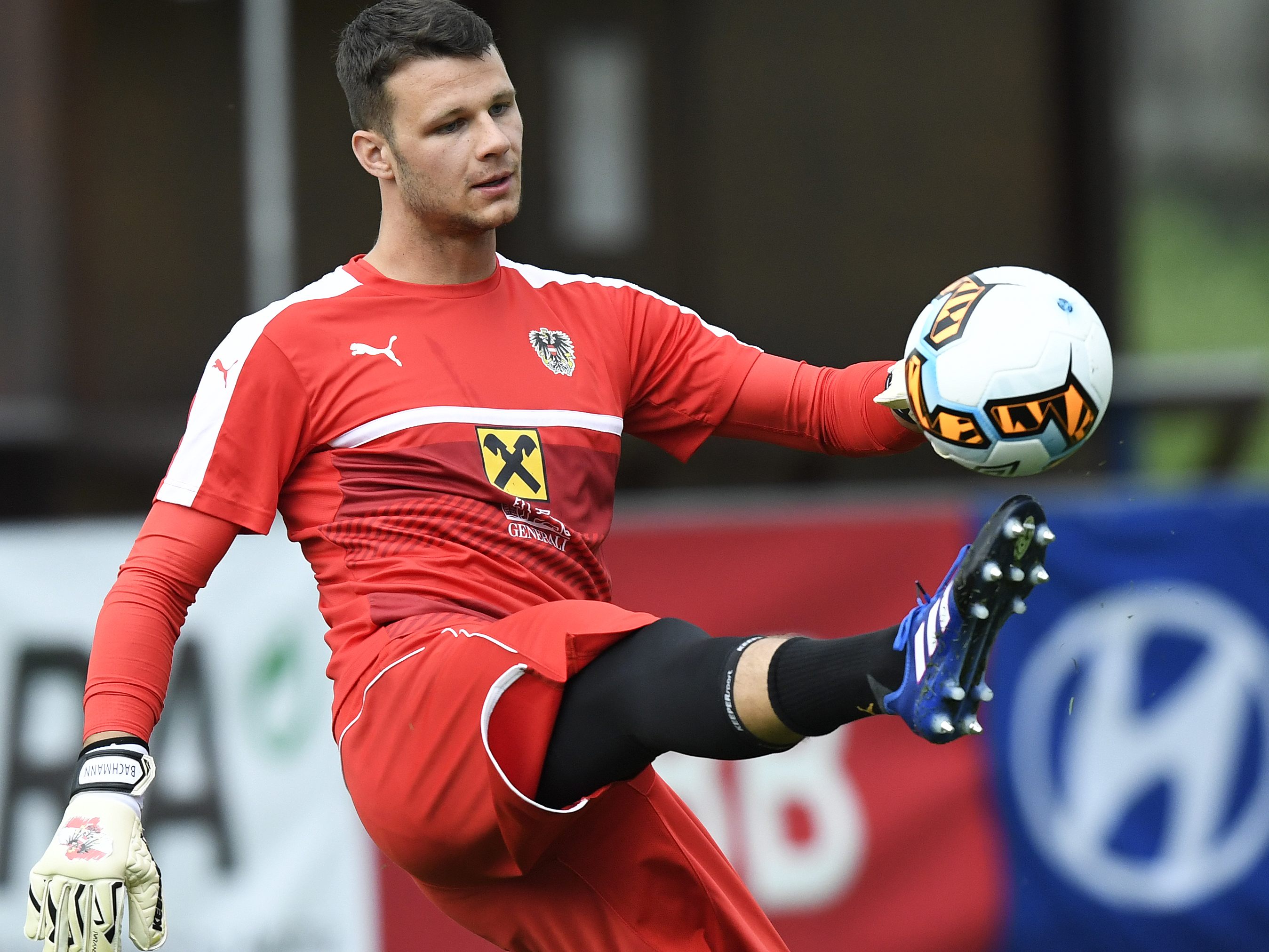 Daniel Bachmann wird für Österreich gegen Nordmazedonien im Tor stehen.