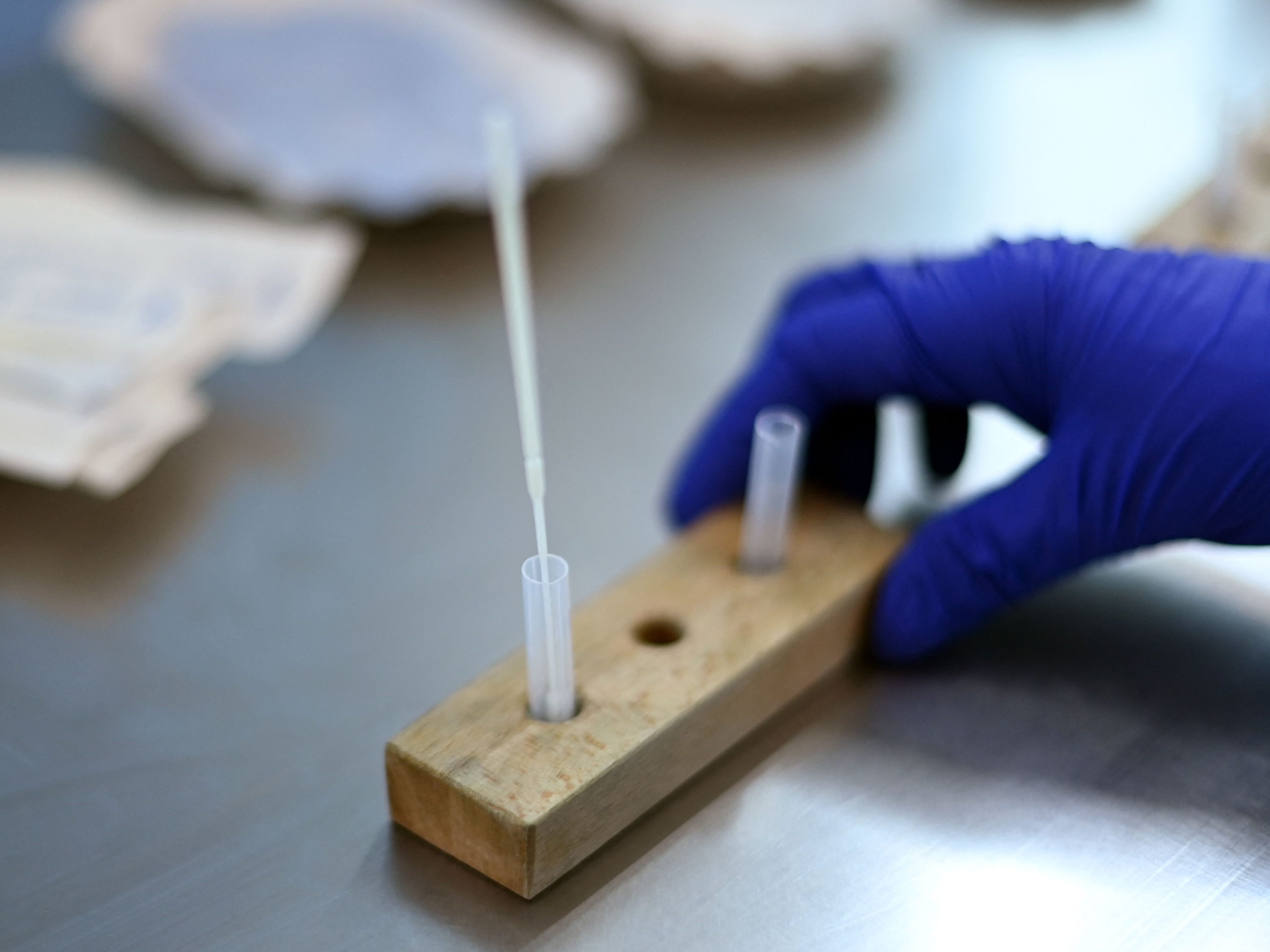 Blümel und Kogler haben eine Meinung zu den Gastro-Tests. Blümel und Kogler haben eine Meinung zu den Gastro-Tests.