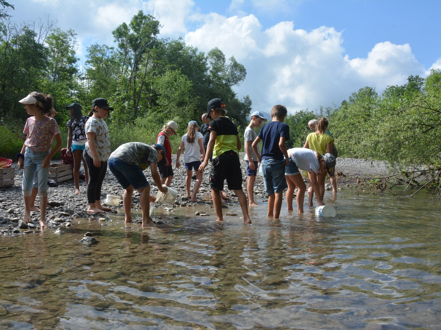 Die Drittklässler der Volksschule Hasenfeld suchten bei einer Flussexkursion kleine Tiere im Wasser. Die Drittklässler der Volksschule Hasenfeld suchten bei einer Flussexkursion kleine Tiere im Wasser.