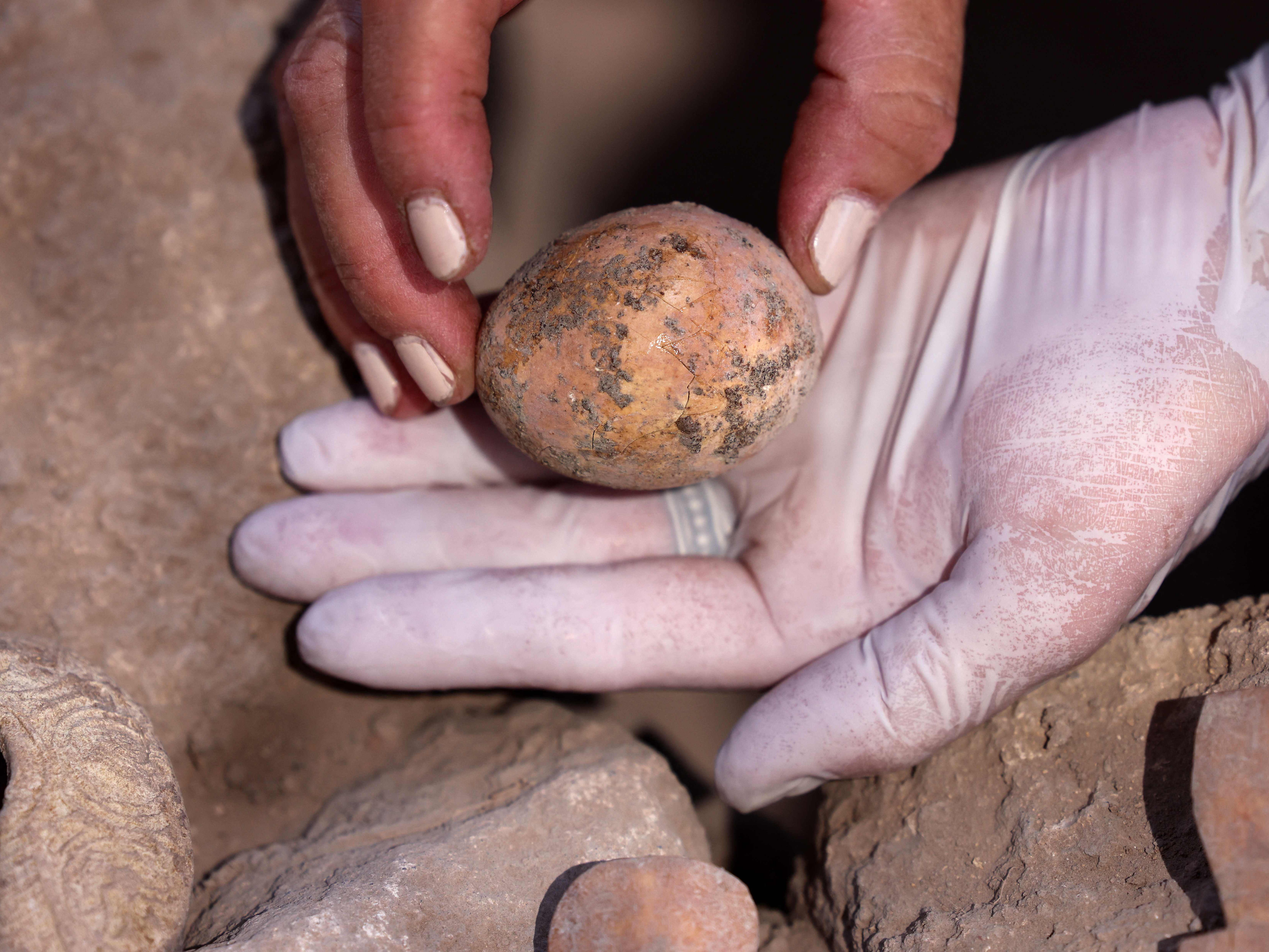 Bei Ausgrabungen in Yavne wurde ein 1.000 Jahre altes Hühnerei entdeckt.