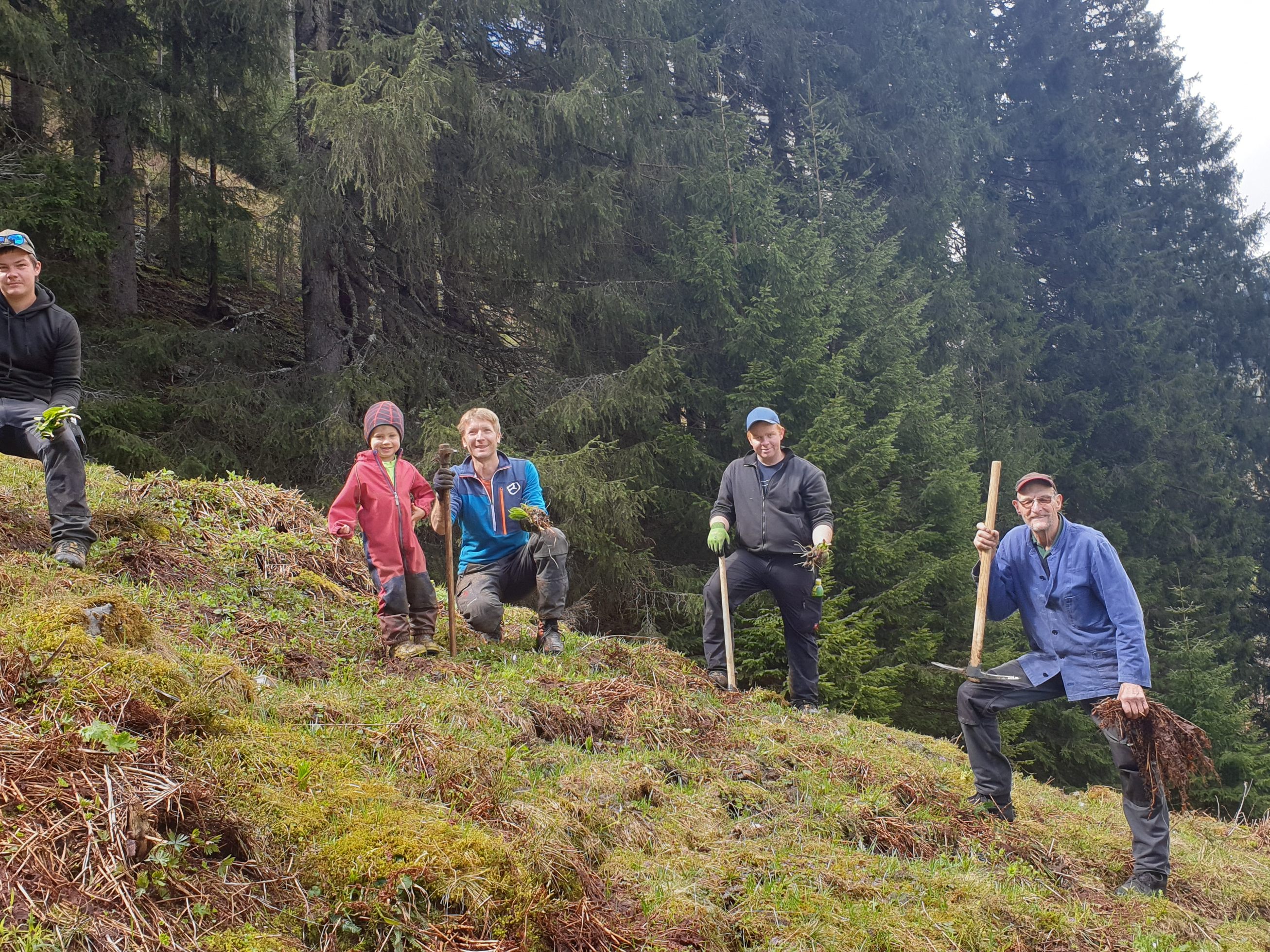 von re: Peter Bahl, Christoph Vallaster, Johannes Netzer mit Magnus, Rene Morscher beim Jäten auf der Vollspora. von re: Peter Bahl, Christoph Vallaster, Johannes Netzer mit Magnus, Rene Morscher beim Jäten auf der Vollspora.