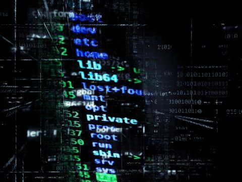 Im Bereich Cybercrime ortet der RH Mängel.