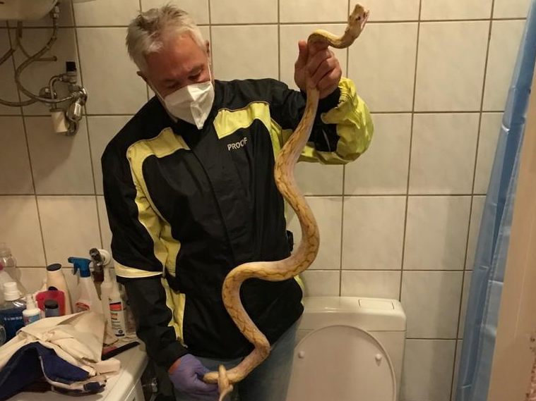 Der Grazer verspürte den Biss lediglich als Zwicken.