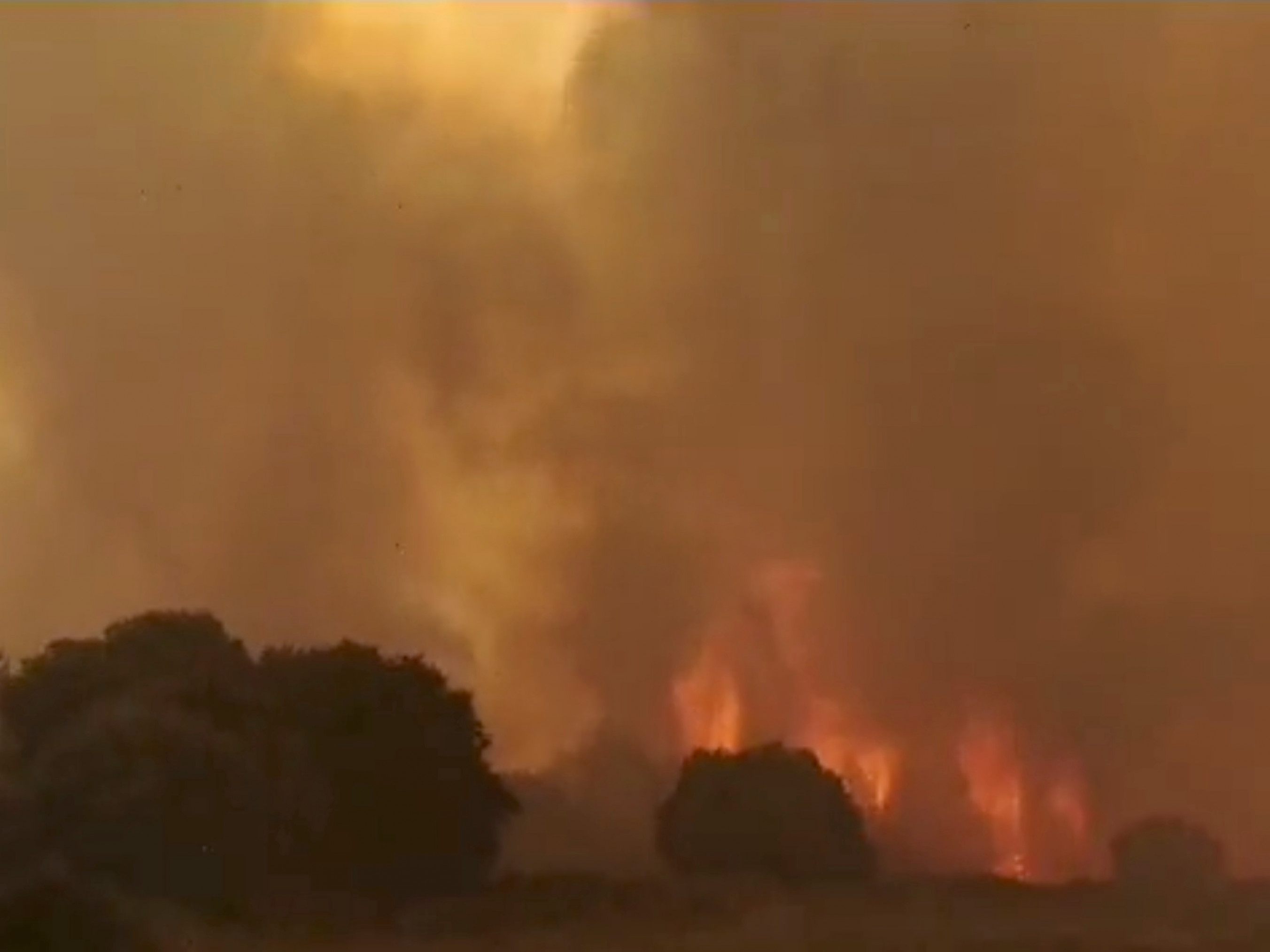 Brände auf Sardinien: Flammen wüteten im Norden der Insel. Brände auf Sardinien: Flammen wüteten im Norden der Insel.