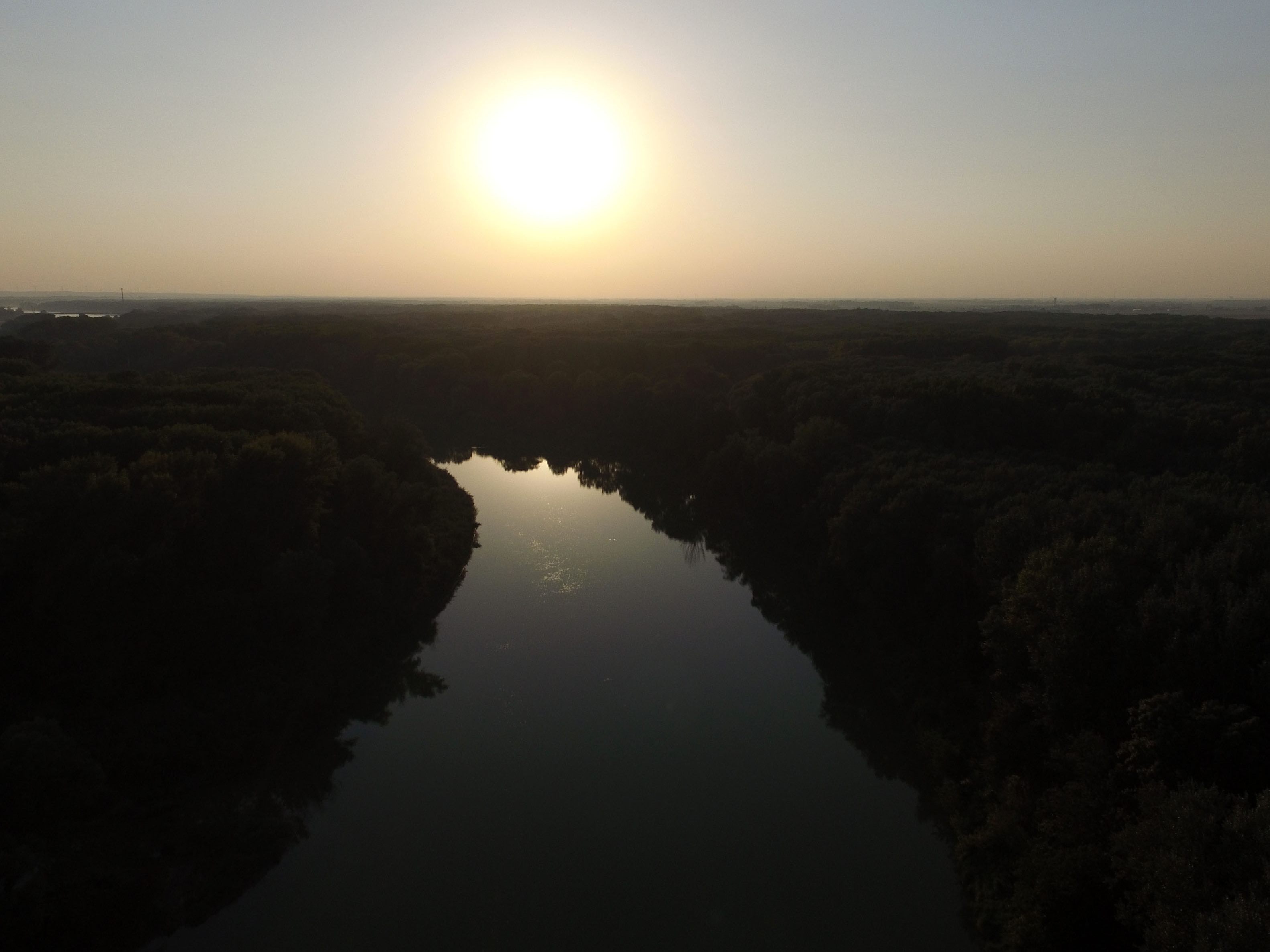 Sumpfschildkröten sind in den Donau Auen zu Hause. Sumpfschildkröten sind in den Donau Auen zu Hause.