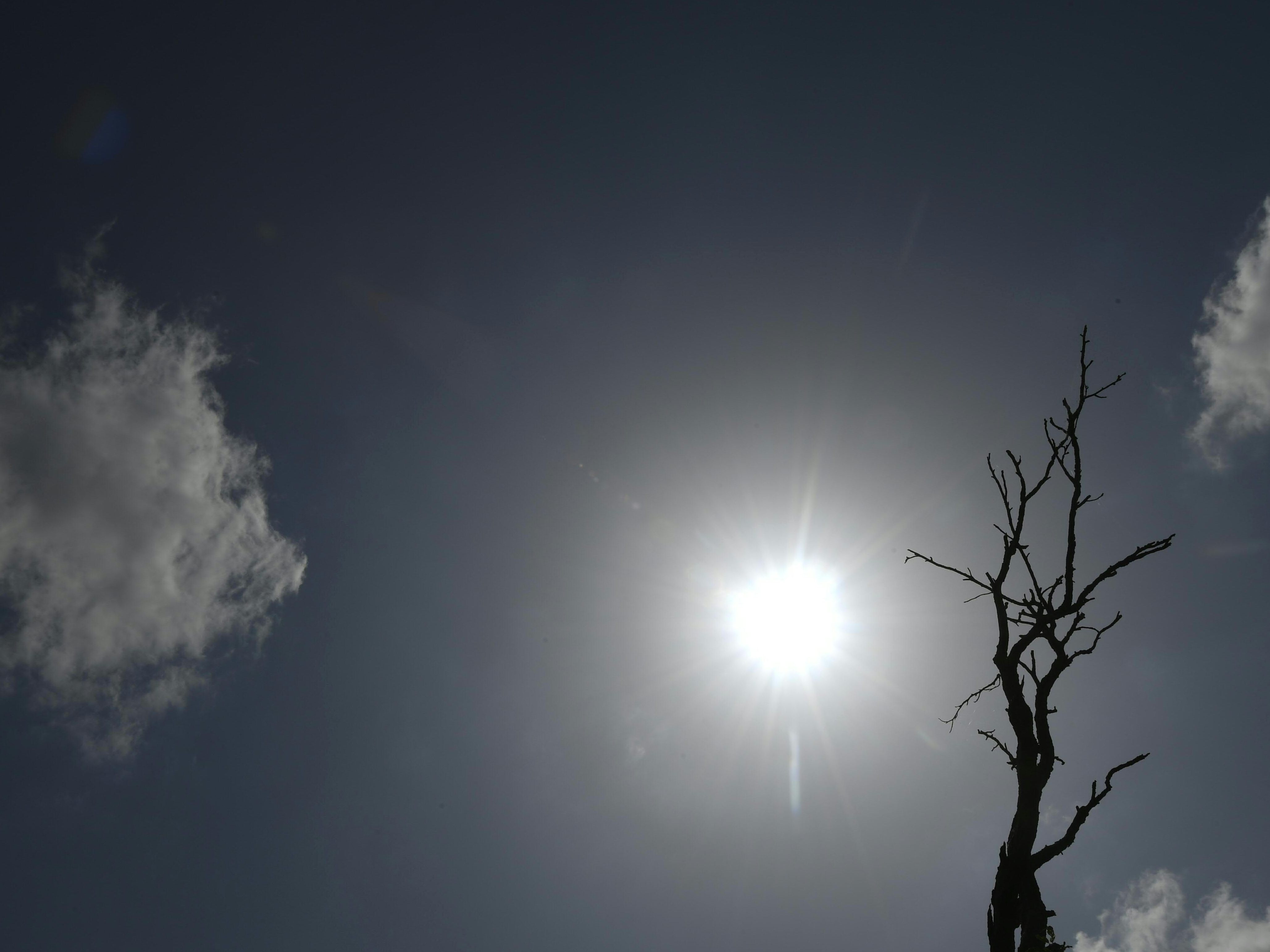 Sonnenaktivität: Ein Blick in die Zukunft ist für Wissenschafter möglich.