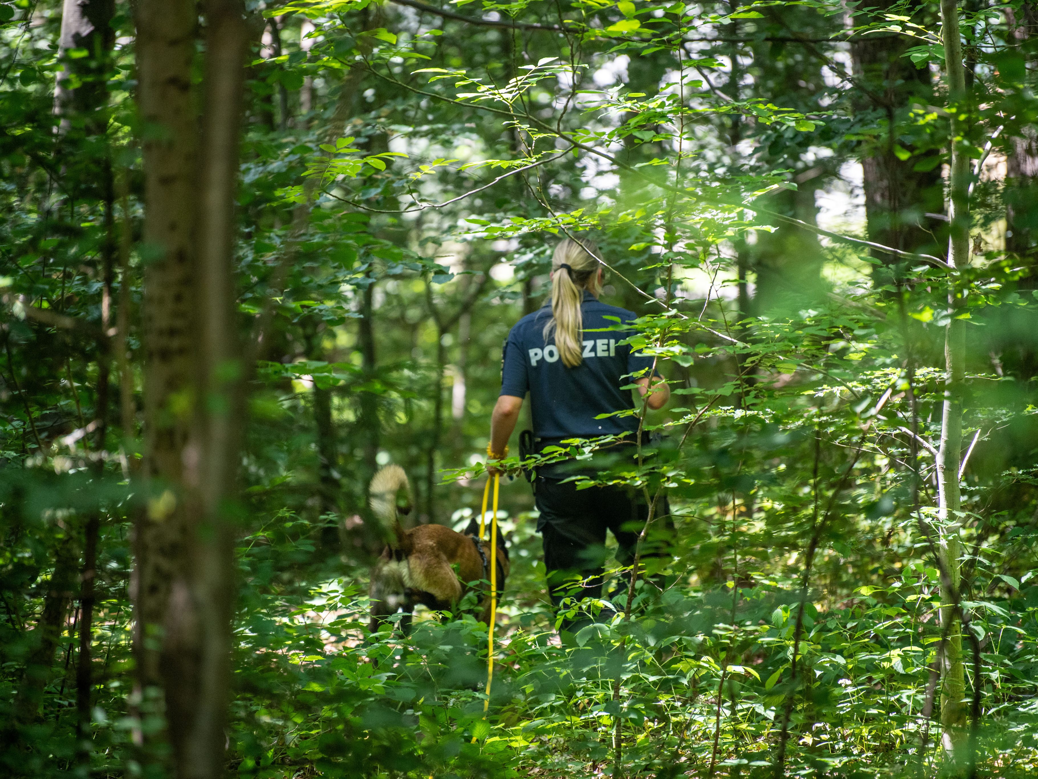 Die Staatsanwaltschaft fordert 14 Jahre Haft und anschließende Sicherungsverwahrung. Der 45-Jährige hat zugegeben, sich mit einer Wolfsmaske getarnt und ein Mädchen am helllichten Tag ins Gebüsch gezerrt und vergewaltigt zu haben.