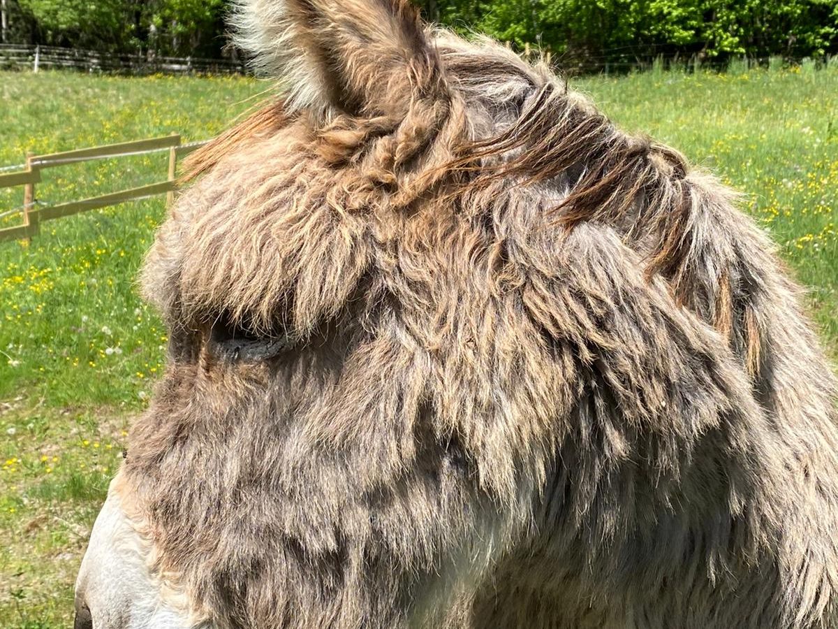 Essel Pepi freut sich auf eine tolle Woche!