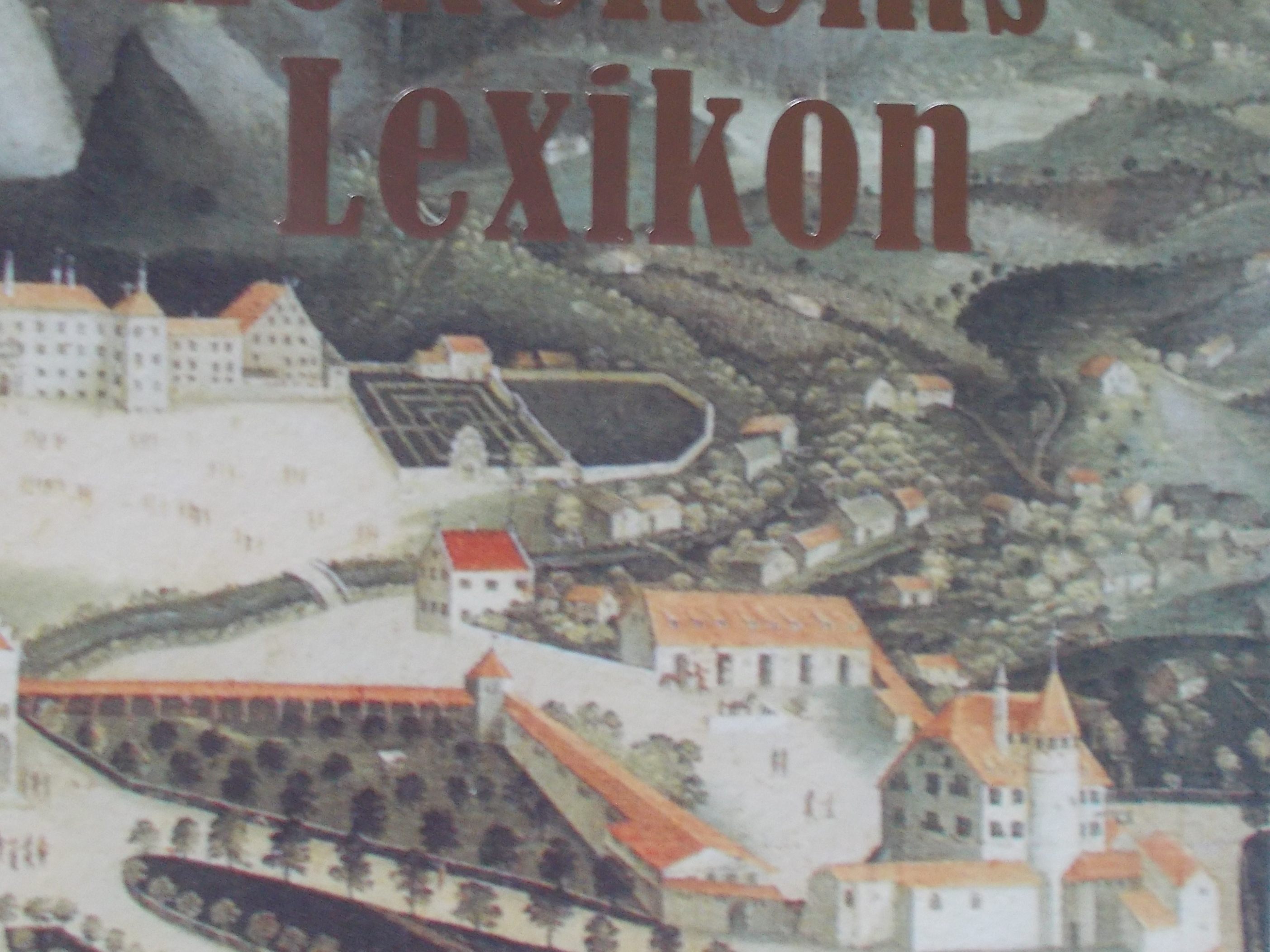 Das Hohenems Lexikon ist in neuer und überarbeiteter Form erschienen Das Hohenems Lexikon ist in neuer und überarbeiteter Form erschienen