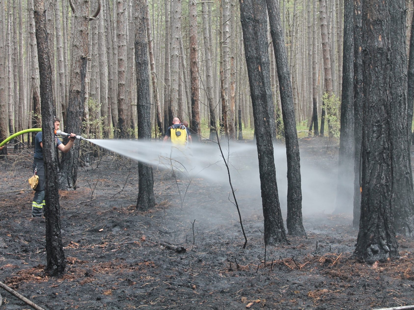 Die Freiwillige Feuerwehr musste wegen eines Waldbrandes ausrücken. Die Freiwillige Feuerwehr musste wegen eines Waldbrandes ausrücken.
