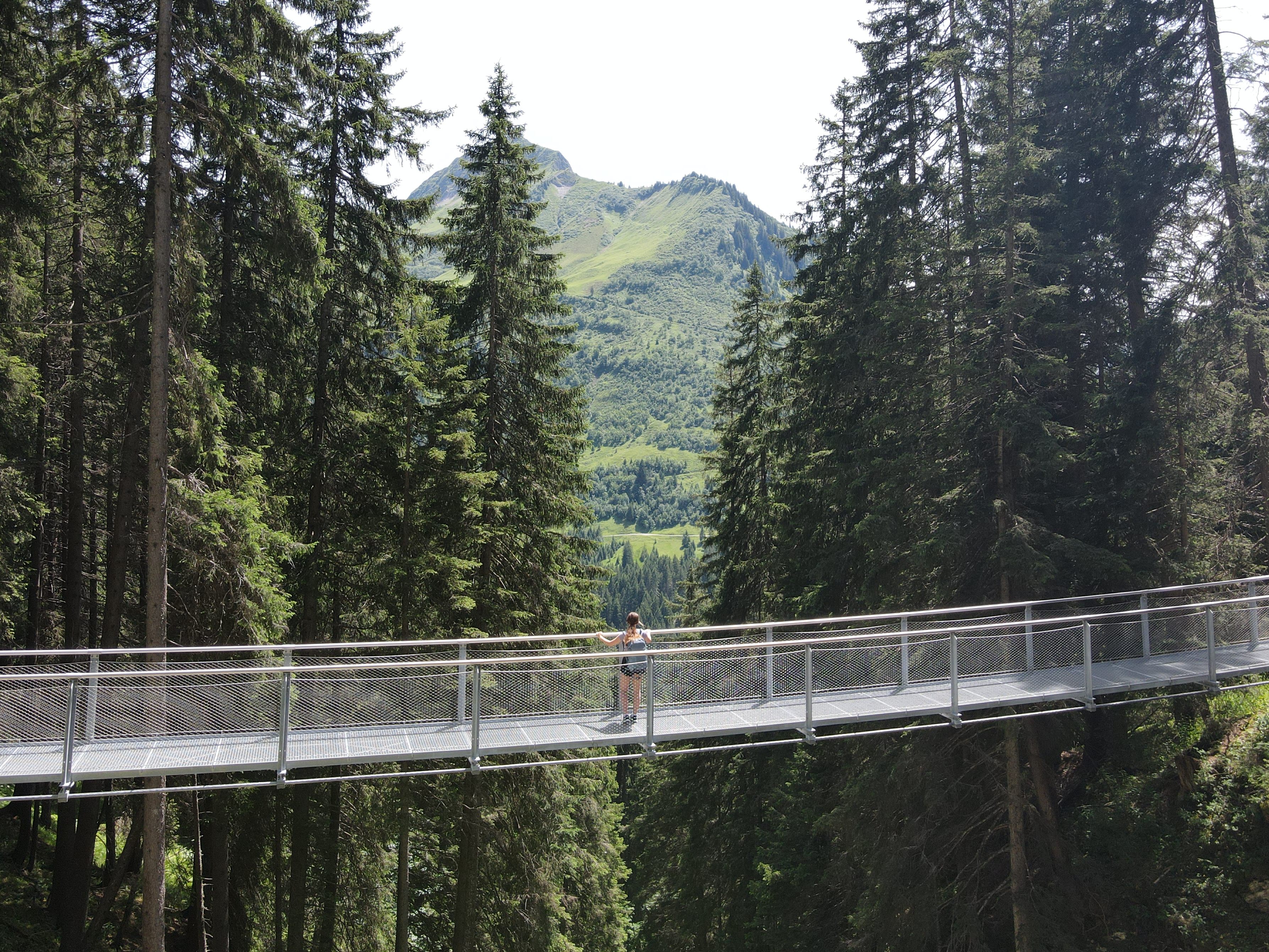 Hängebrücke schließt Lücke für Wanderer