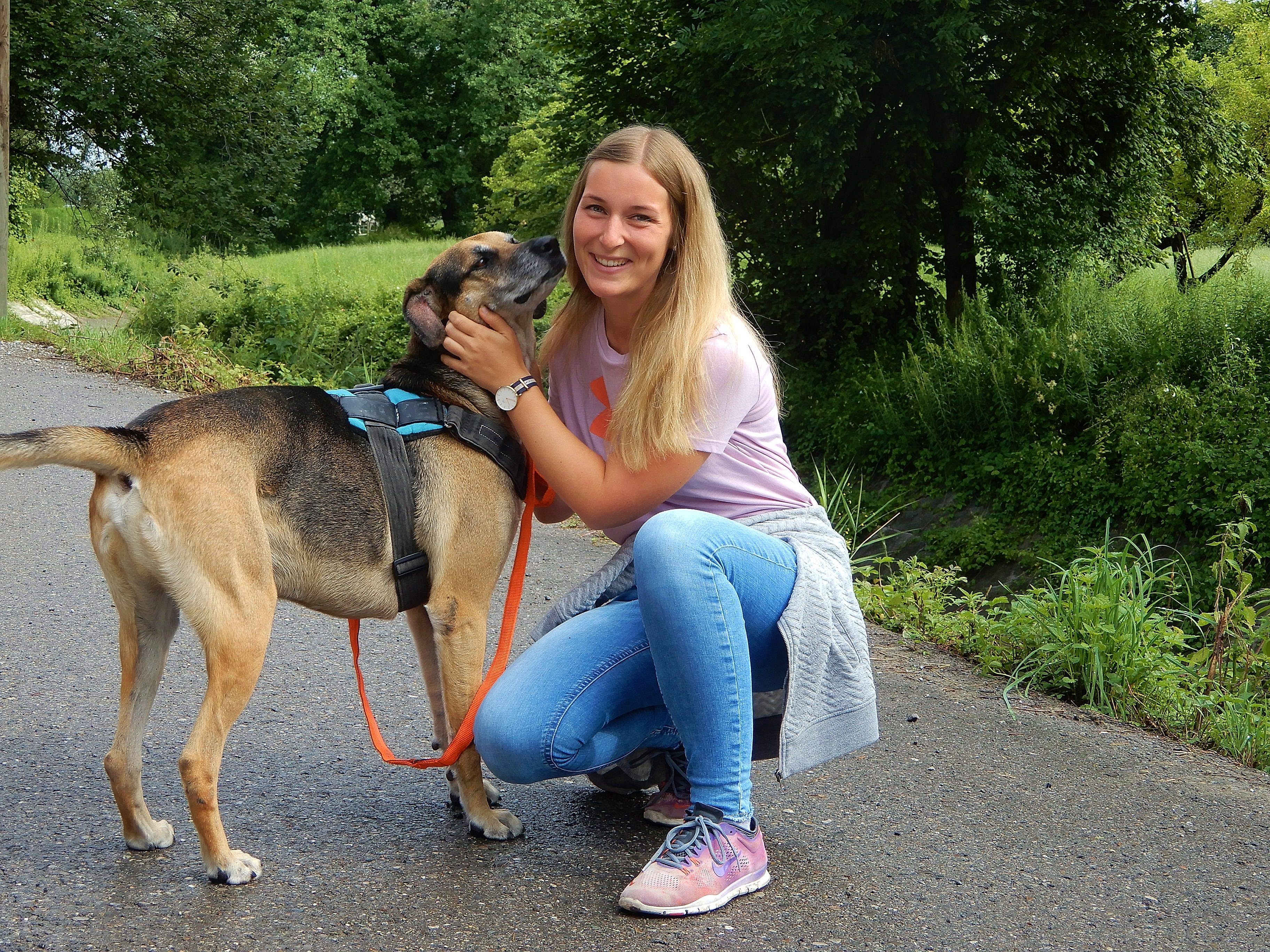 Die Hunde freuen sich jedes Mal, wenn die Gassis sie zum Spazieren abholen. Die Hunde freuen sich jedes Mal, wenn die Gassis sie zum Spazieren abholen.