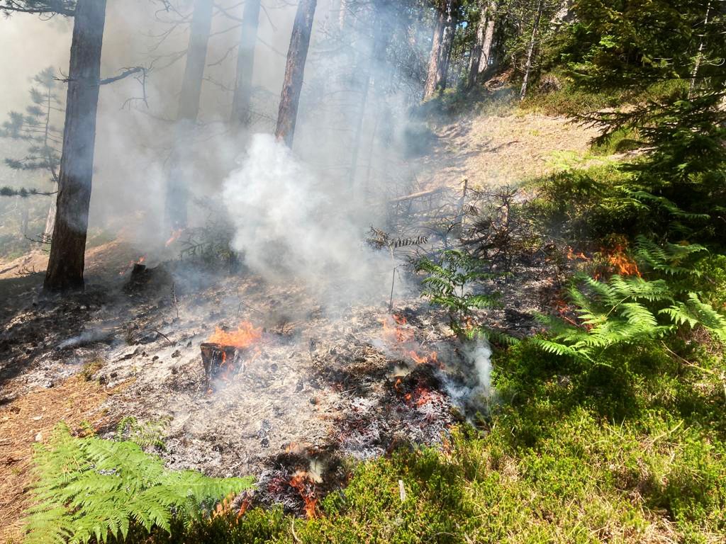 Der Brand in Gutenstein ist weiterhin nicht vollständig gelöscht. Der Brand in Gutenstein ist weiterhin nicht vollständig gelöscht.