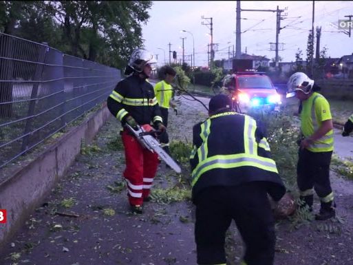 Waldviertel am stärksten von Unwettern betroffen.