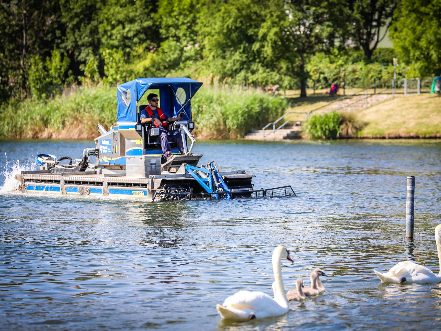 Das Mähmanagement auf der Alten Donau wurde 2018 auf neue Beine gestellt.