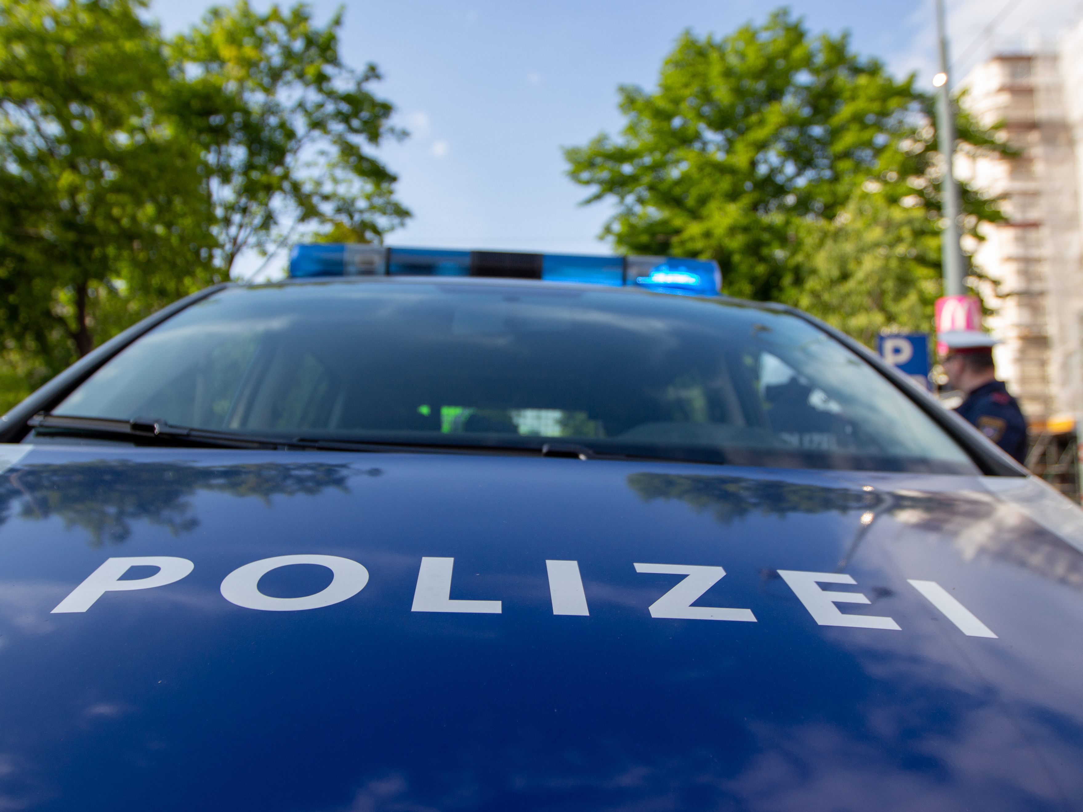 Die Polizei bekam es am Wiener Hauptbahnhof mit einer mutmaßlichen Trickdiebin zu tun. Die Polizei bekam es am Wiener Hauptbahnhof mit einer mutmaßlichen Trickdiebin zu tun.