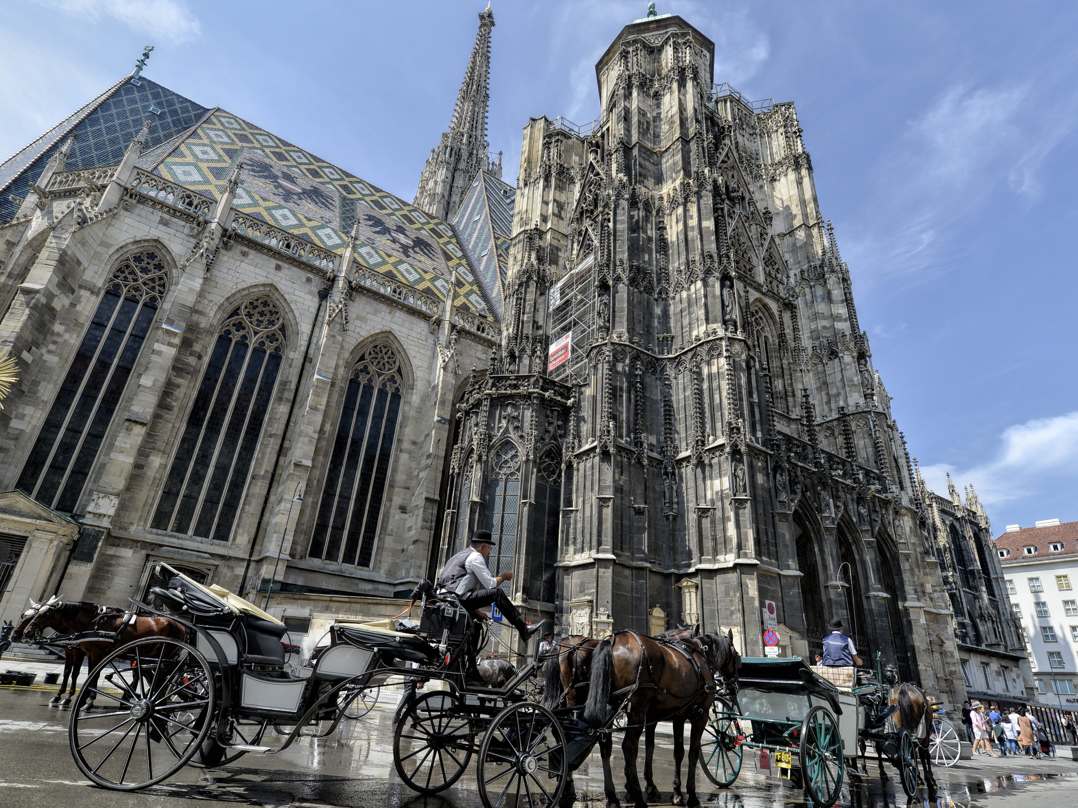 Ein Fiaker-Unfall ereignete sich am Wiener Stephansplatz.