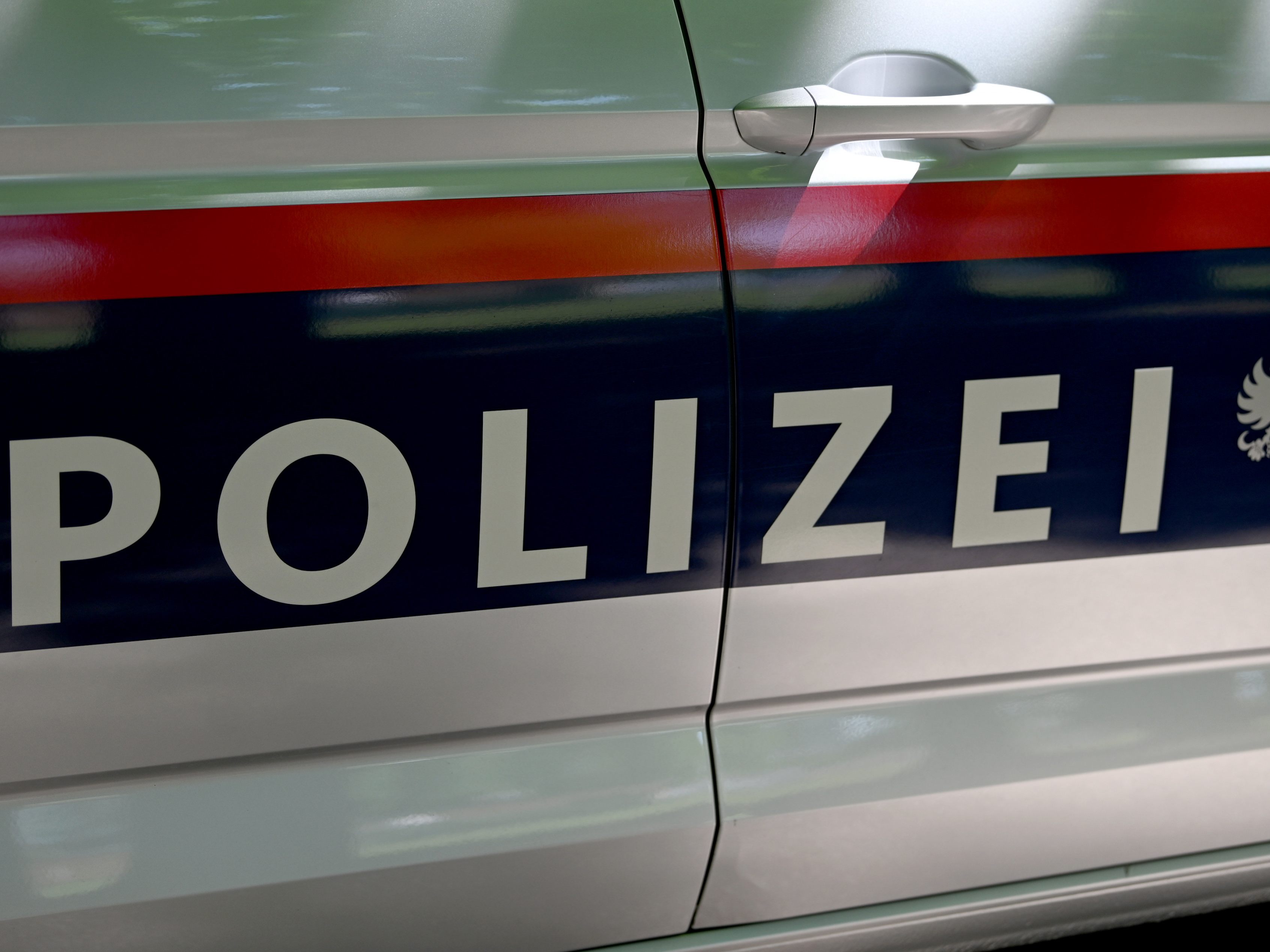 Die Polizei konnte das Duo festnehmen.