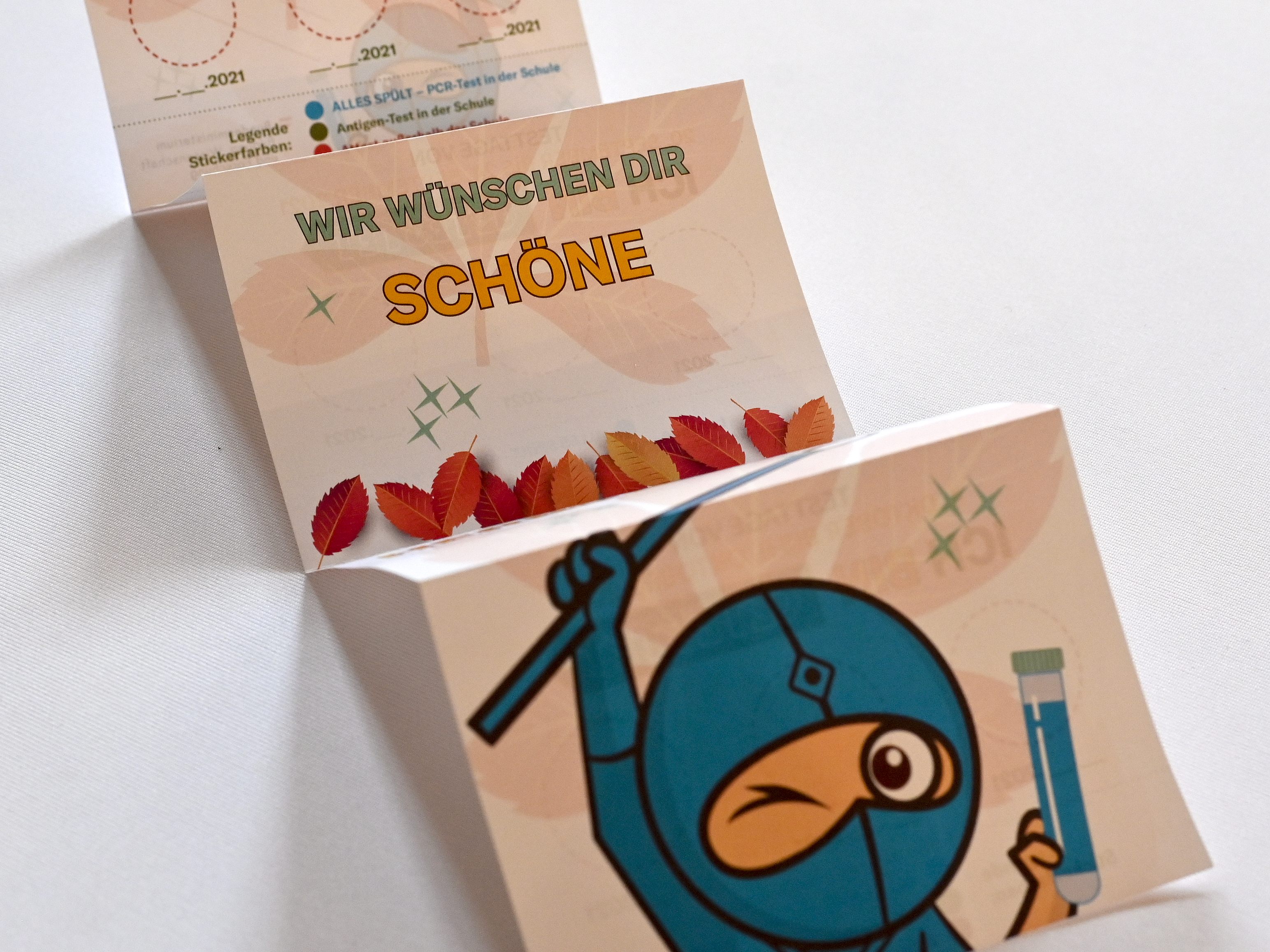 Die Werbung für den Ninjapass kostete das Fünffache der Produktion. Die Werbung für den Ninjapass kostete das Fünffache der Produktion.