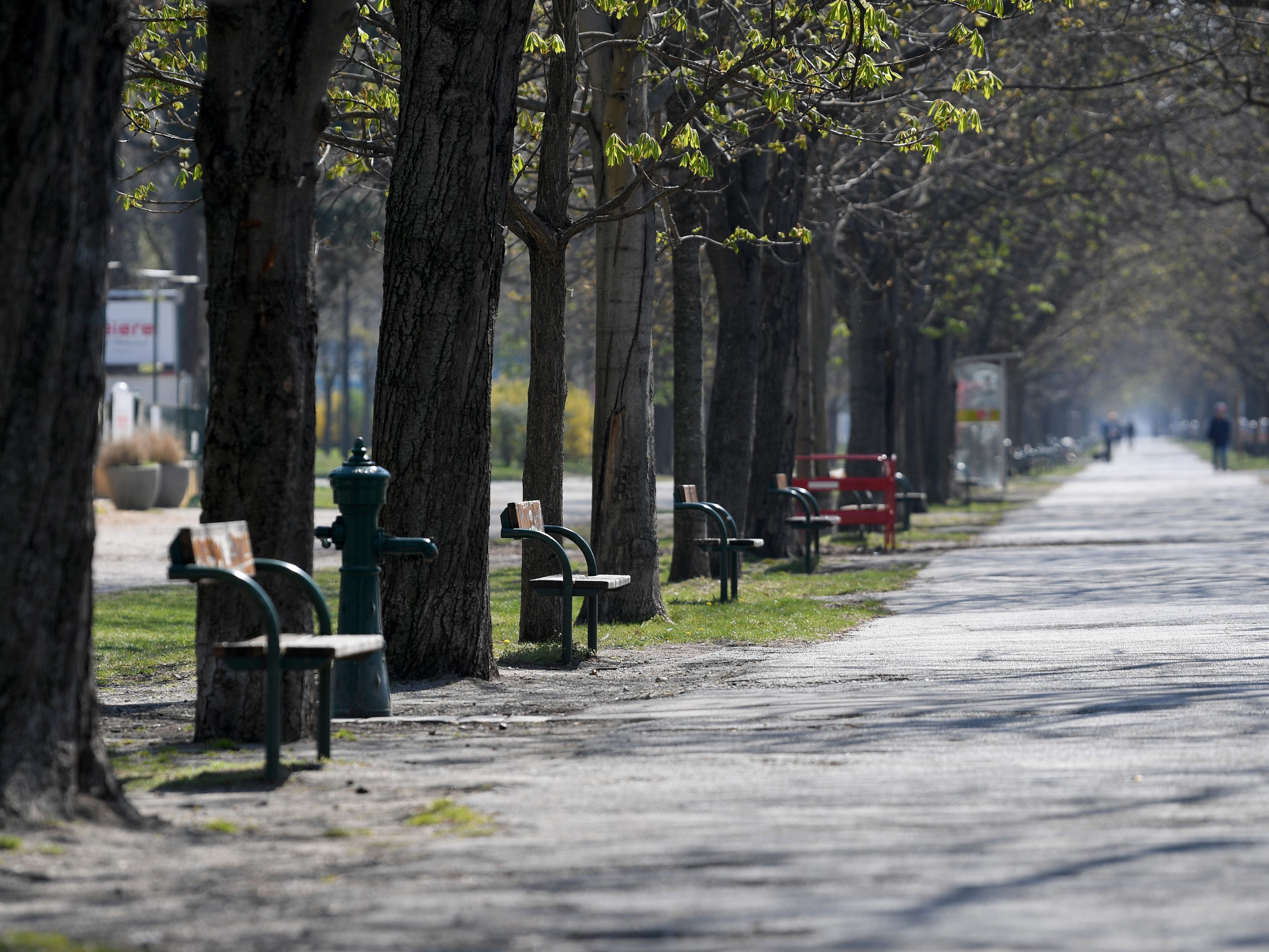 Der Mann soll im Mai im Prater in Wien unterwegs gewesen sein. Der Mann soll im Mai im Prater in Wien unterwegs gewesen sein.