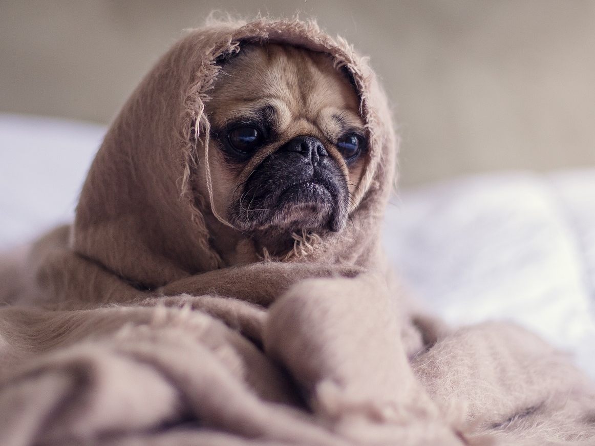 Sorry, ganz ohne sein Bett zu machen geht es allerdings auch nicht.