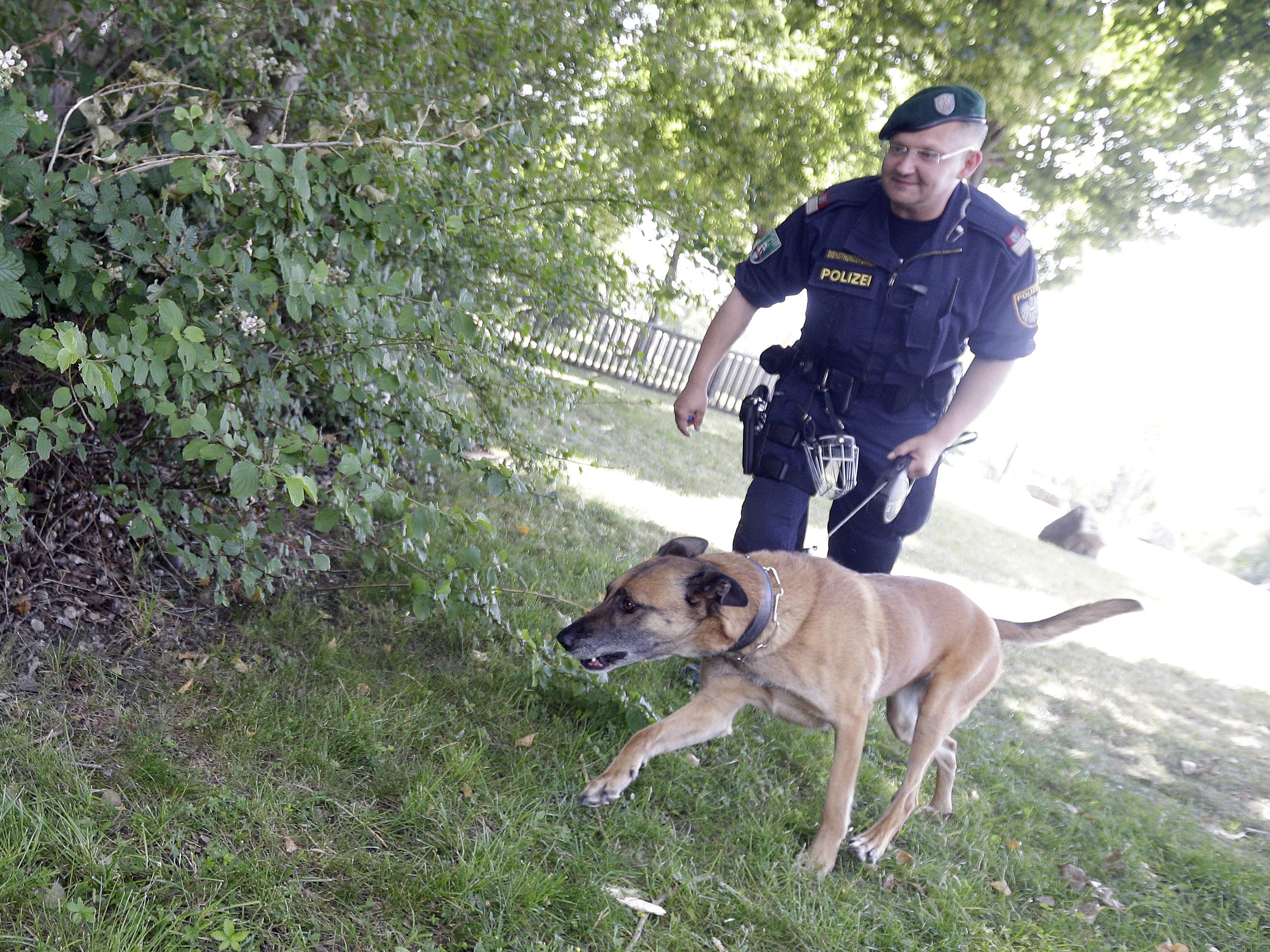 Die Polizei Wien erhält vier neue Drogenspürhunde. Die Polizei Wien erhält vier neue Drogenspürhunde.