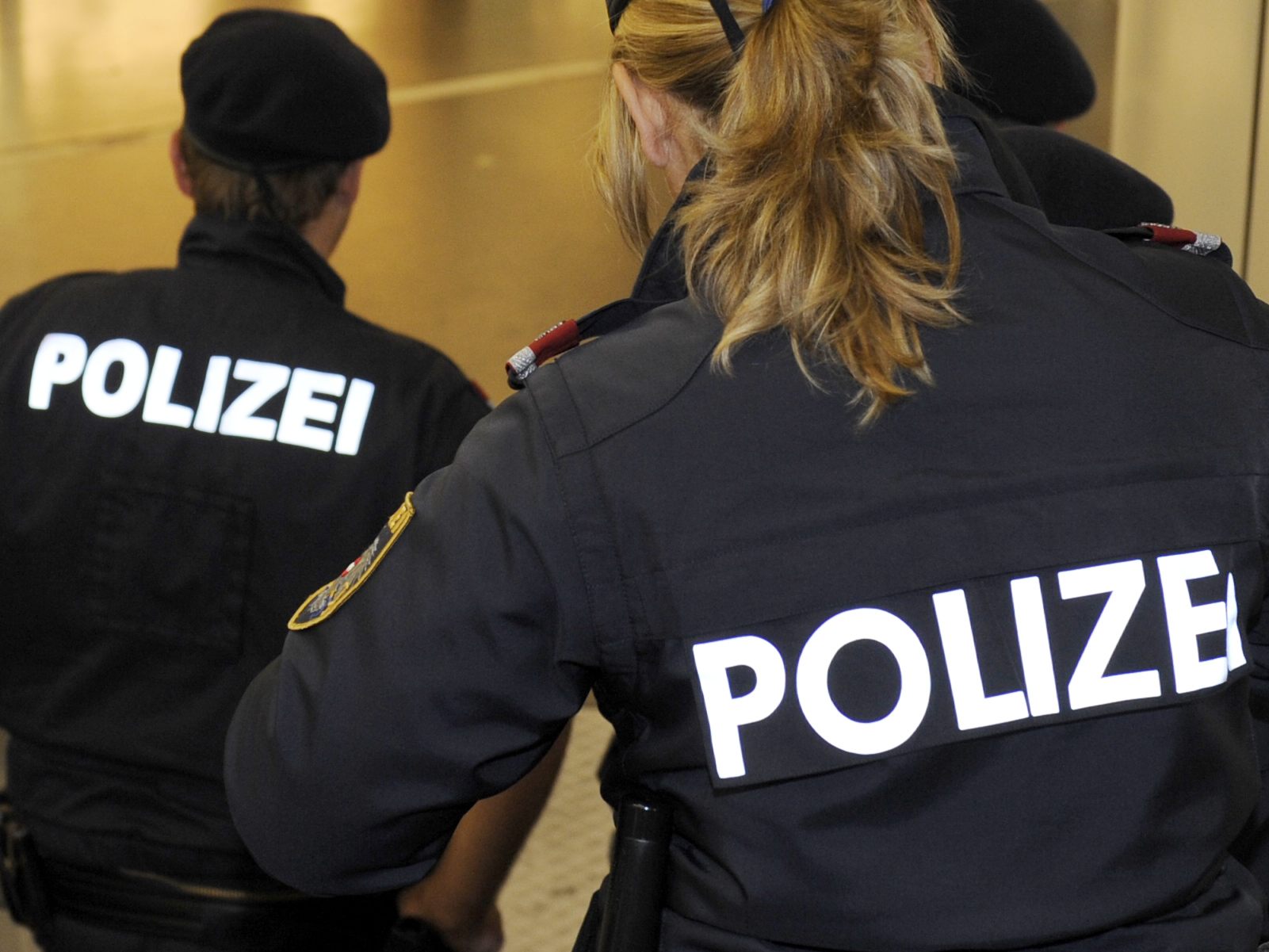 Unter anderem müssen Exekutivbeamte, Richter und Staatsanwälte als Beamte ernannt werden.