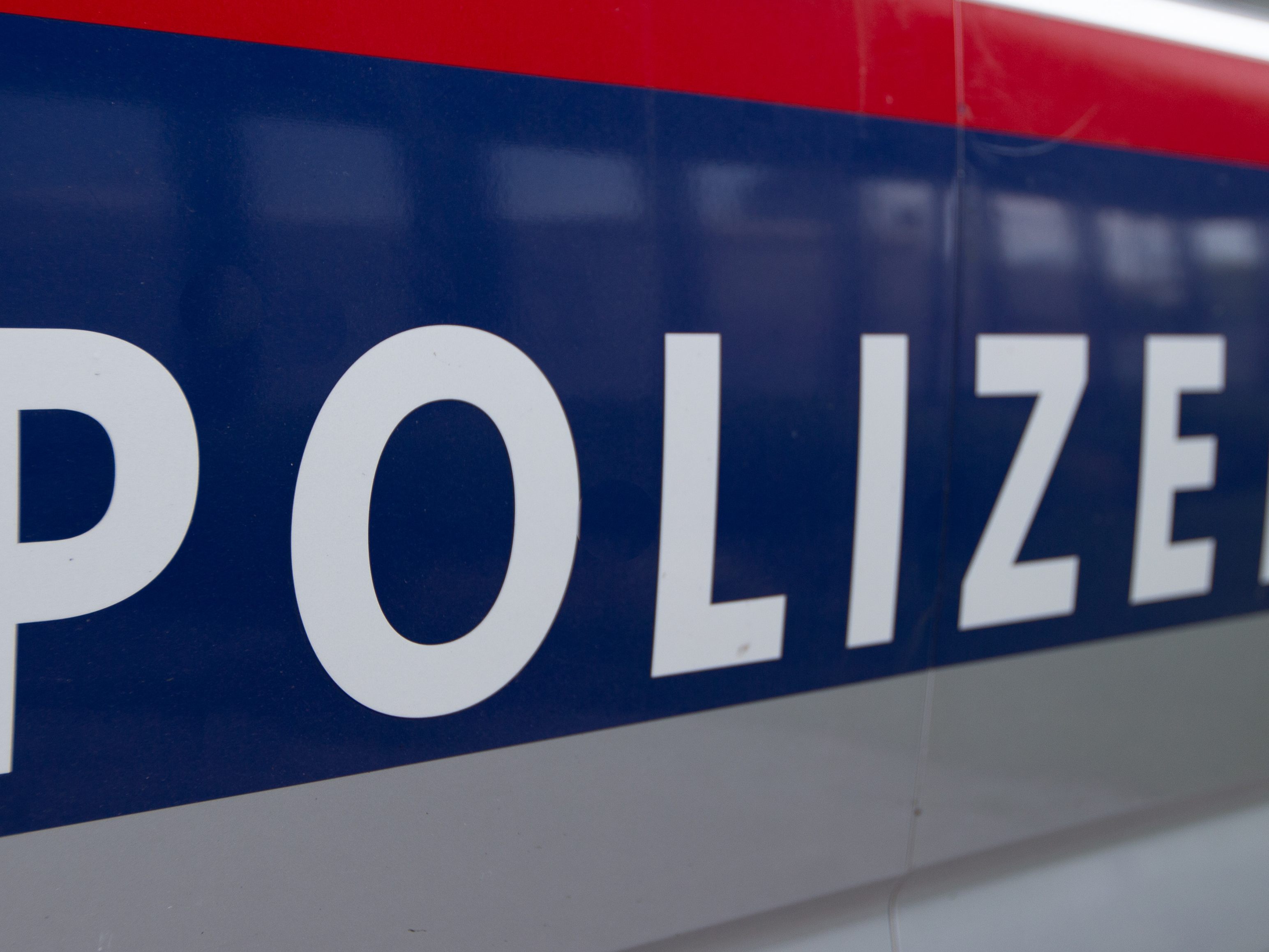 Die Landespolizeidirektion Niederösterreich informierte über den Vorfall. Die Landespolizeidirektion Niederösterreich informierte über den Vorfall.