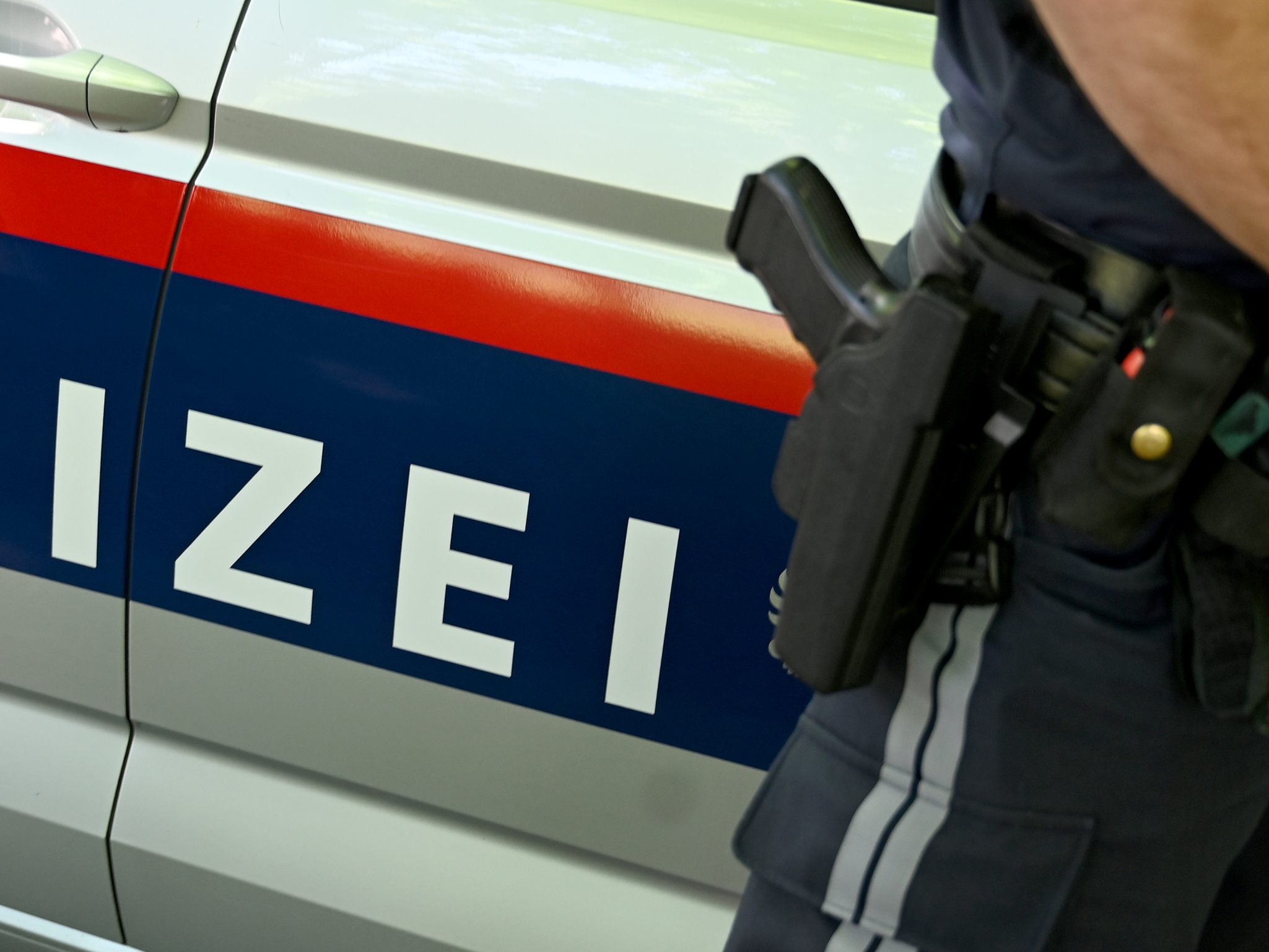 Die Beamten zogen aufgrund der Bedrohung ihre Dienstwaffen. Die Beamten zogen aufgrund der Bedrohung ihre Dienstwaffen.