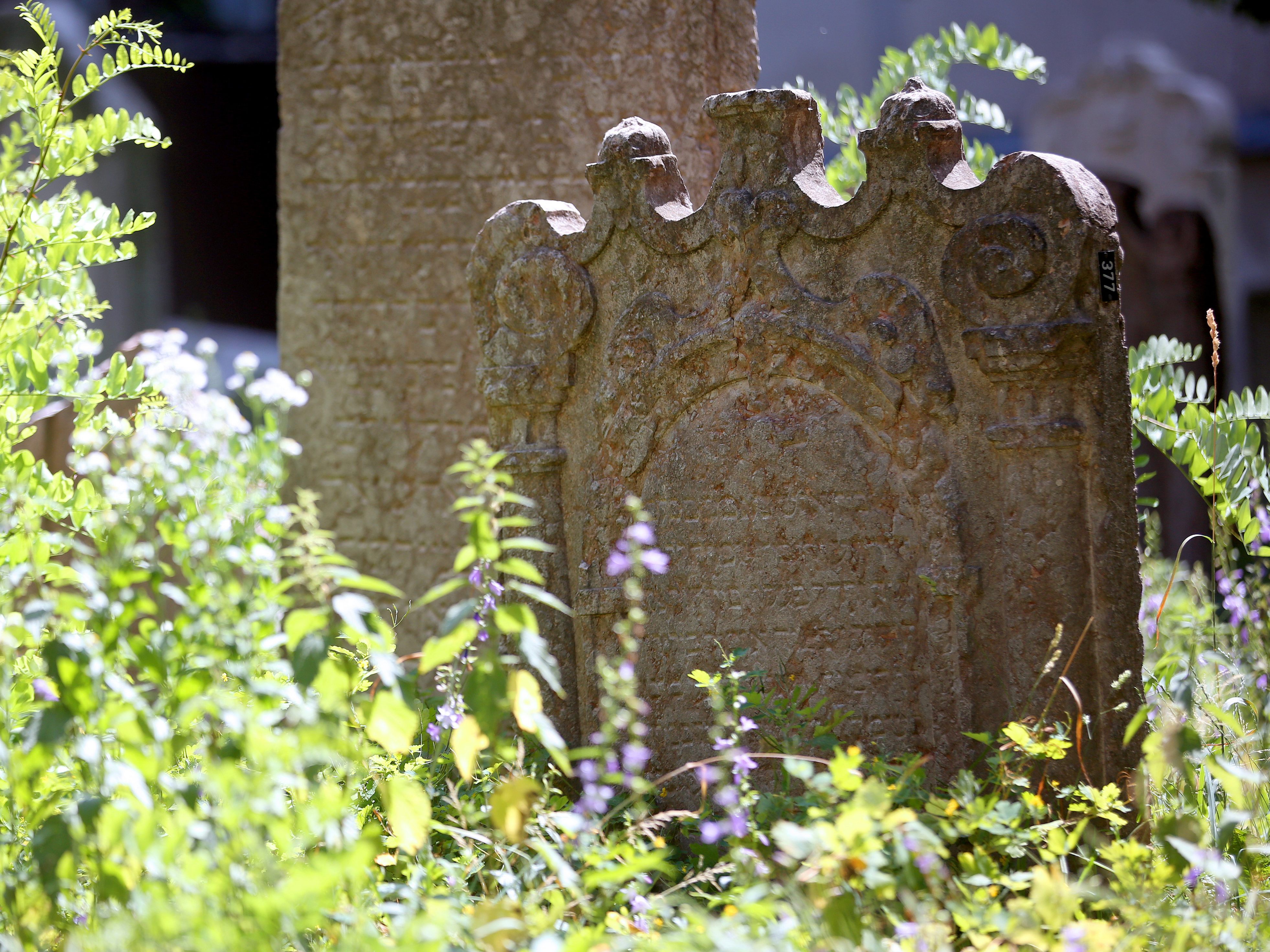 Sobotka übergab sanierte Epstein-Grabstätte am Jüdischen Friedhof.