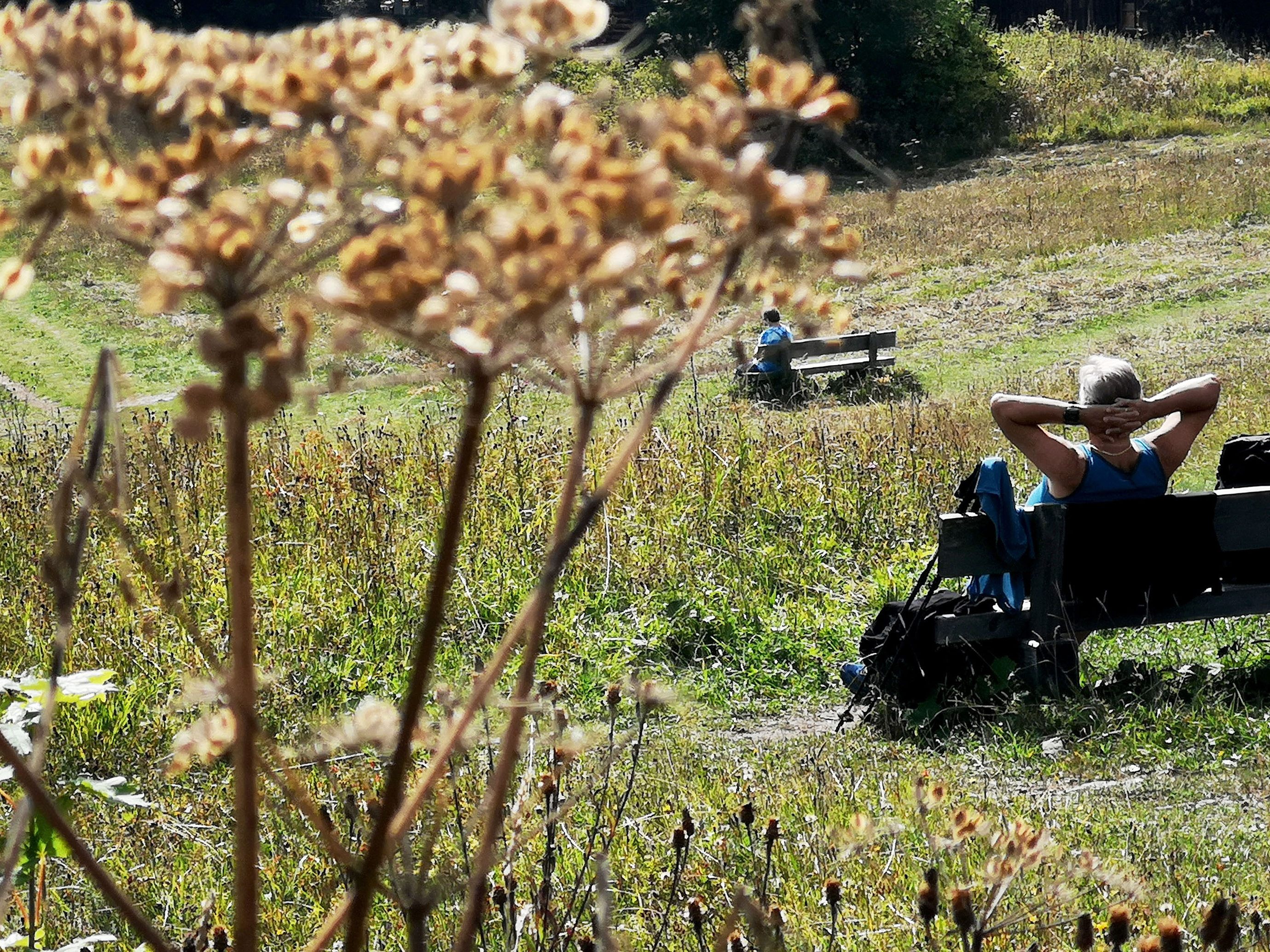 Der Spätsommer hat noch so manchen freundlichen Sonnentag zu bieten, wie Meteorologen prognostizieren