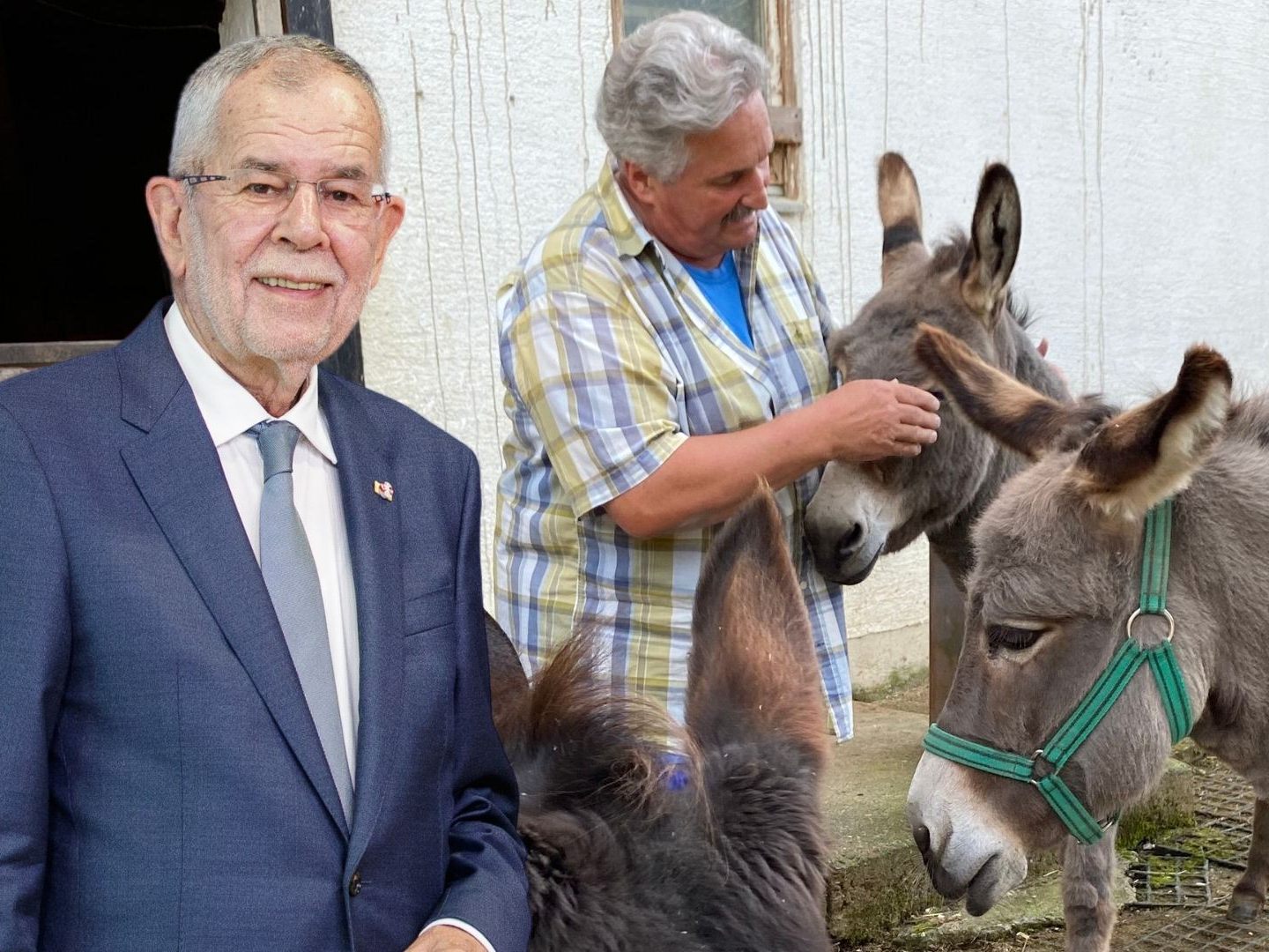 Längle hat den Bundespräsidenten um Hilfe gebeten.