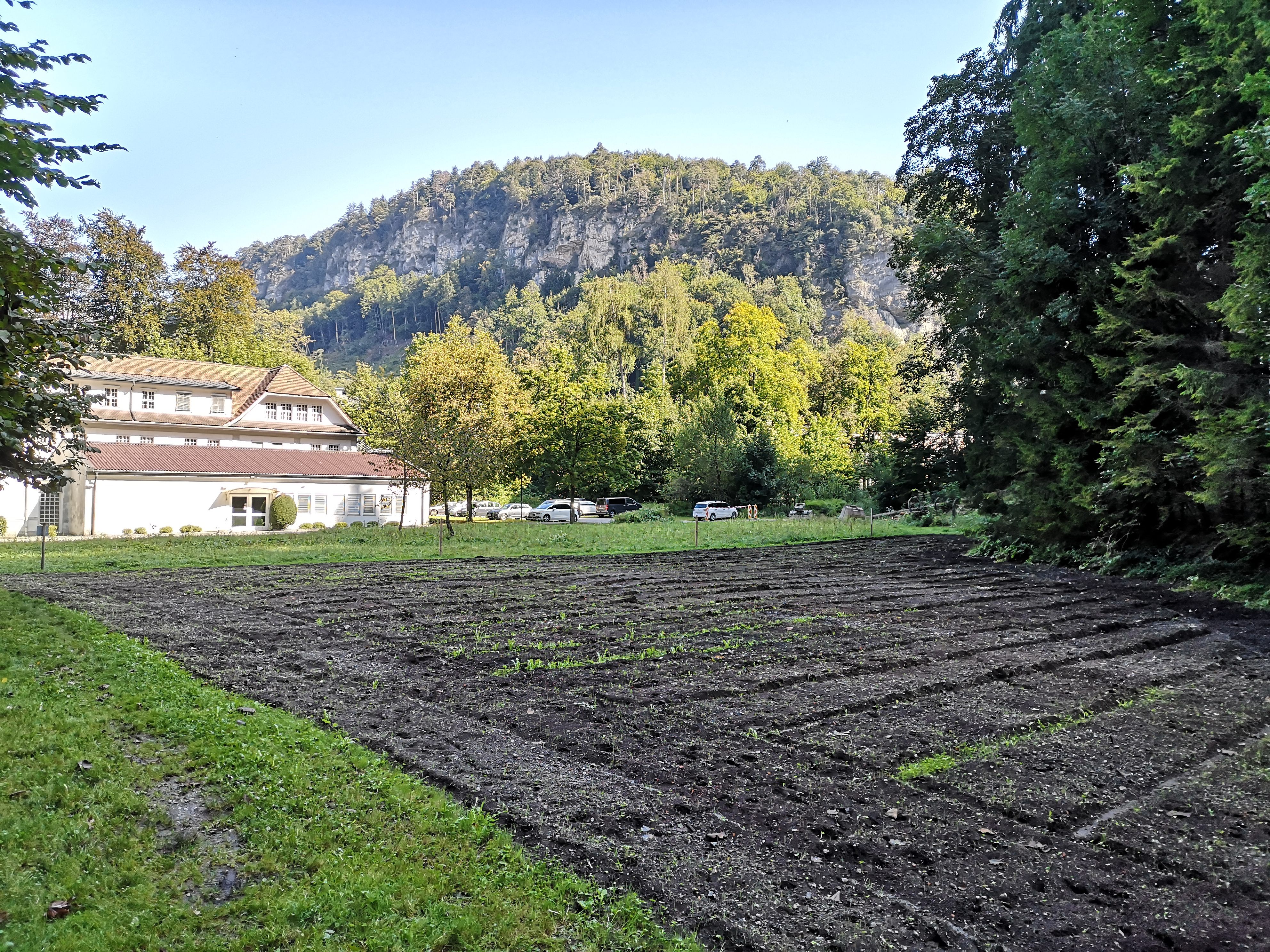 Hier entsteht ein Schmetterlingsgarten