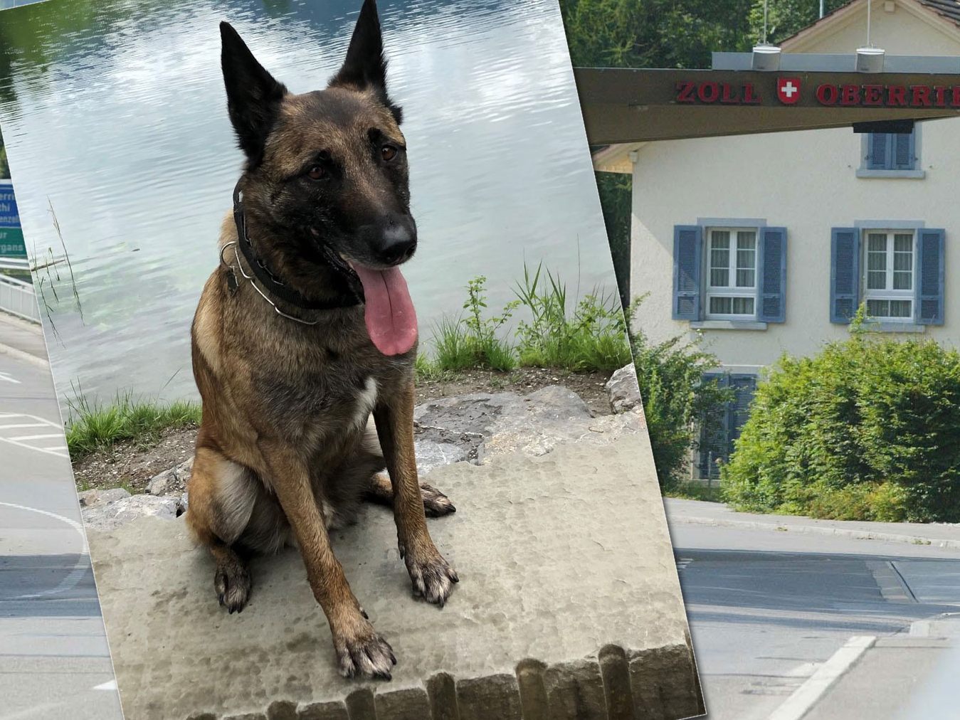 Drogenspürhund "Sec" wurde am Grenzübergang Oberriet fündig. Drogenspürhund "Sec" wurde am Grenzübergang Oberriet fündig.