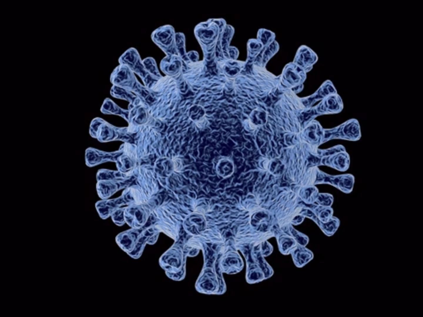 Über die Entstehung des Coronavirus herrscht Uneinigkeit Über die Entstehung des Coronavirus herrscht Uneinigkeit