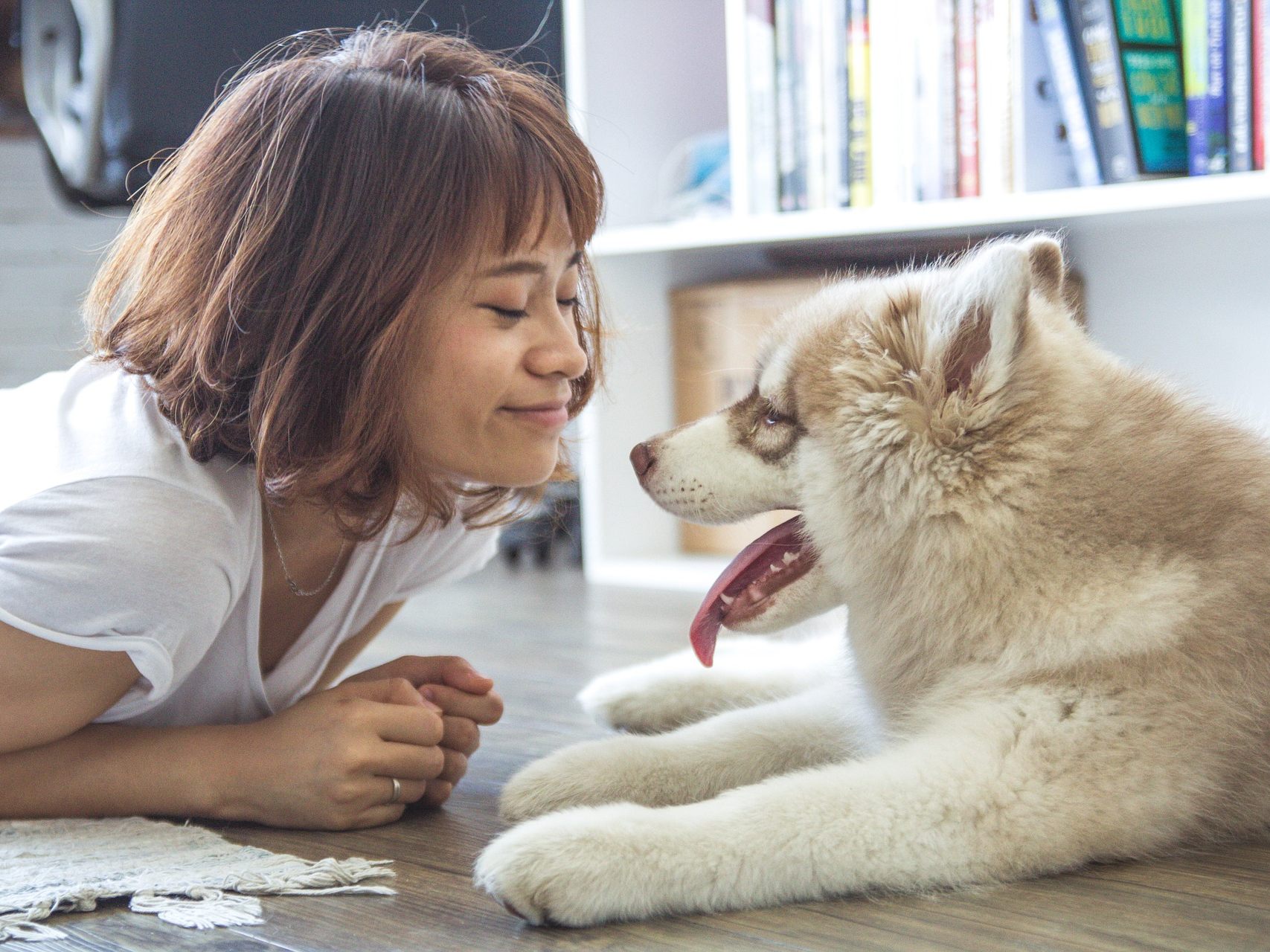 Wenn der Halter sich über einen anderen Hund freut, wird starke Erregung ausgelöst, weil der Hund möglicherweise die Beziehung zur menschlichen Bezugsperson gefährdet sieht