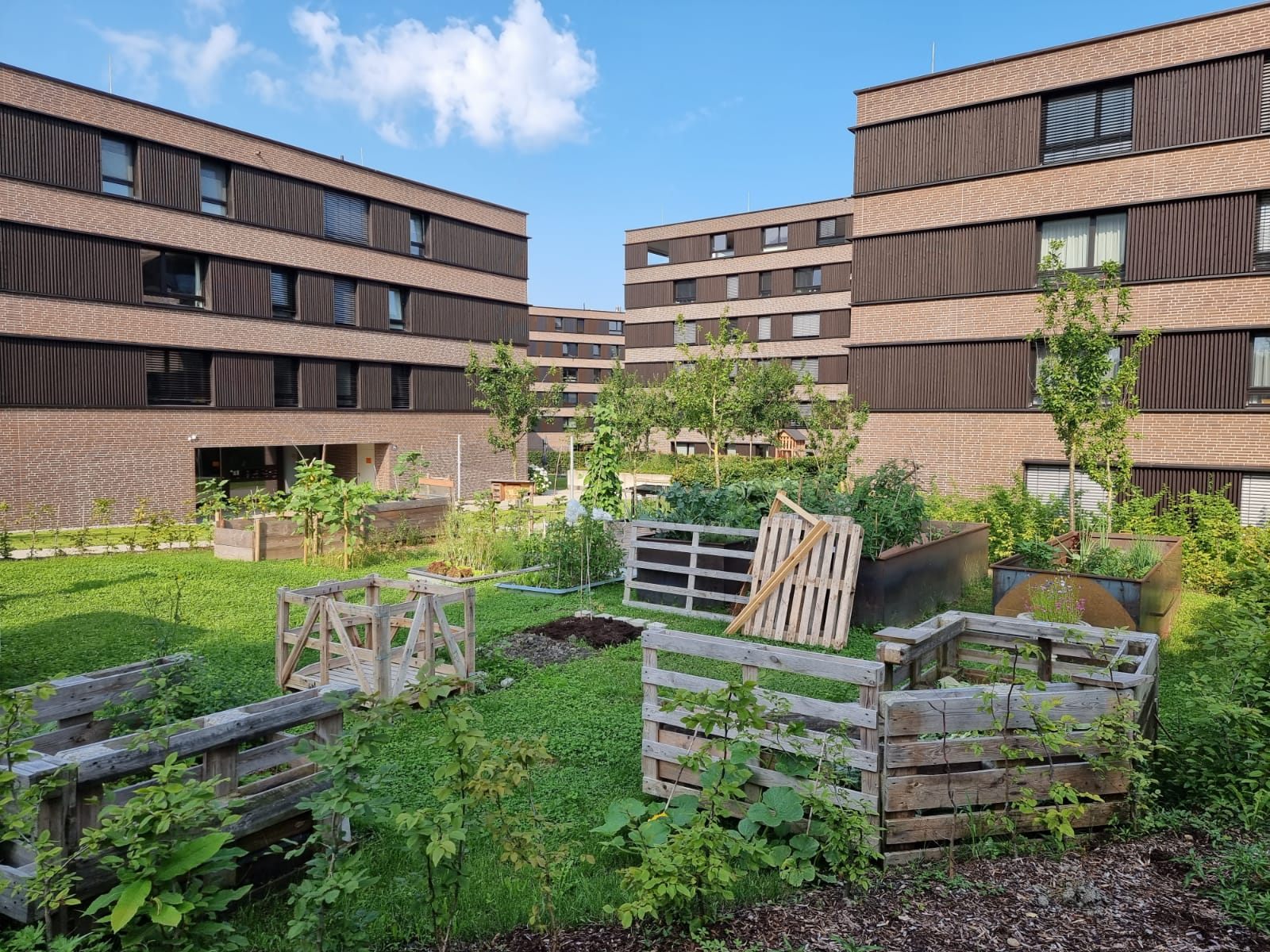 v.l.: Projektentwickler Andreas Deuring, Vereinsobmann Ahmed B. und Reinhard Schertler (i+R Gruppe) begutachten die Pachtgärten beim Wohnprojekt Seedomizil in Lochau.