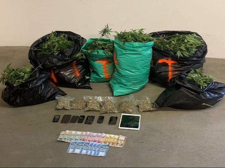 Mehrere Pflanzen und verkaufsfertiges Cannabis wurden sichergestellt. Mehrere Pflanzen und verkaufsfertiges Cannabis wurden sichergestellt.
