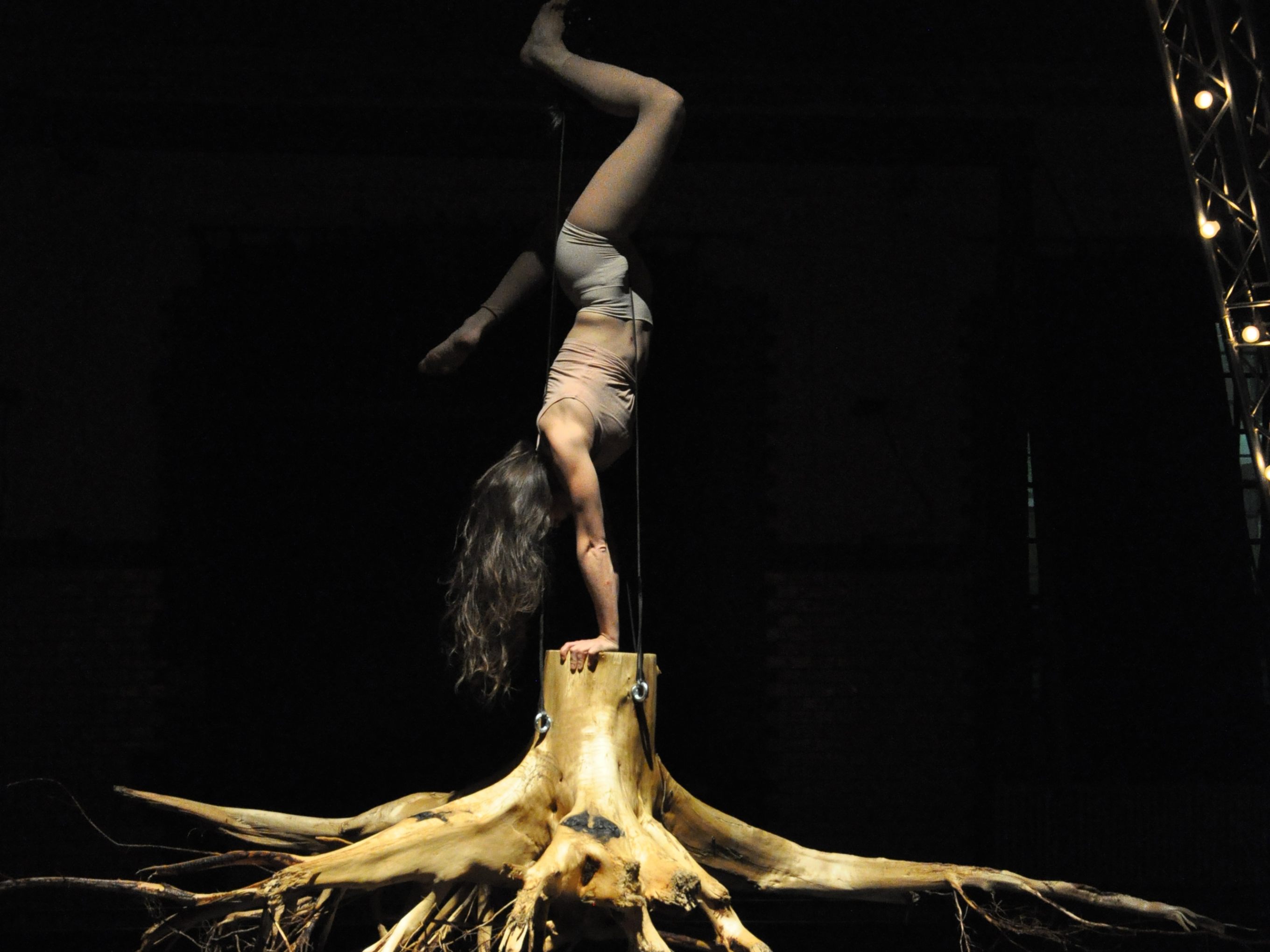 Ab Donnerstag gibt es im Freudenhaus wieder schwindelerregendes Circus-Musik-Theater aus Österreich. Ab Donnerstag gibt es im Freudenhaus wieder schwindelerregendes Circus-Musik-Theater aus Österreich.